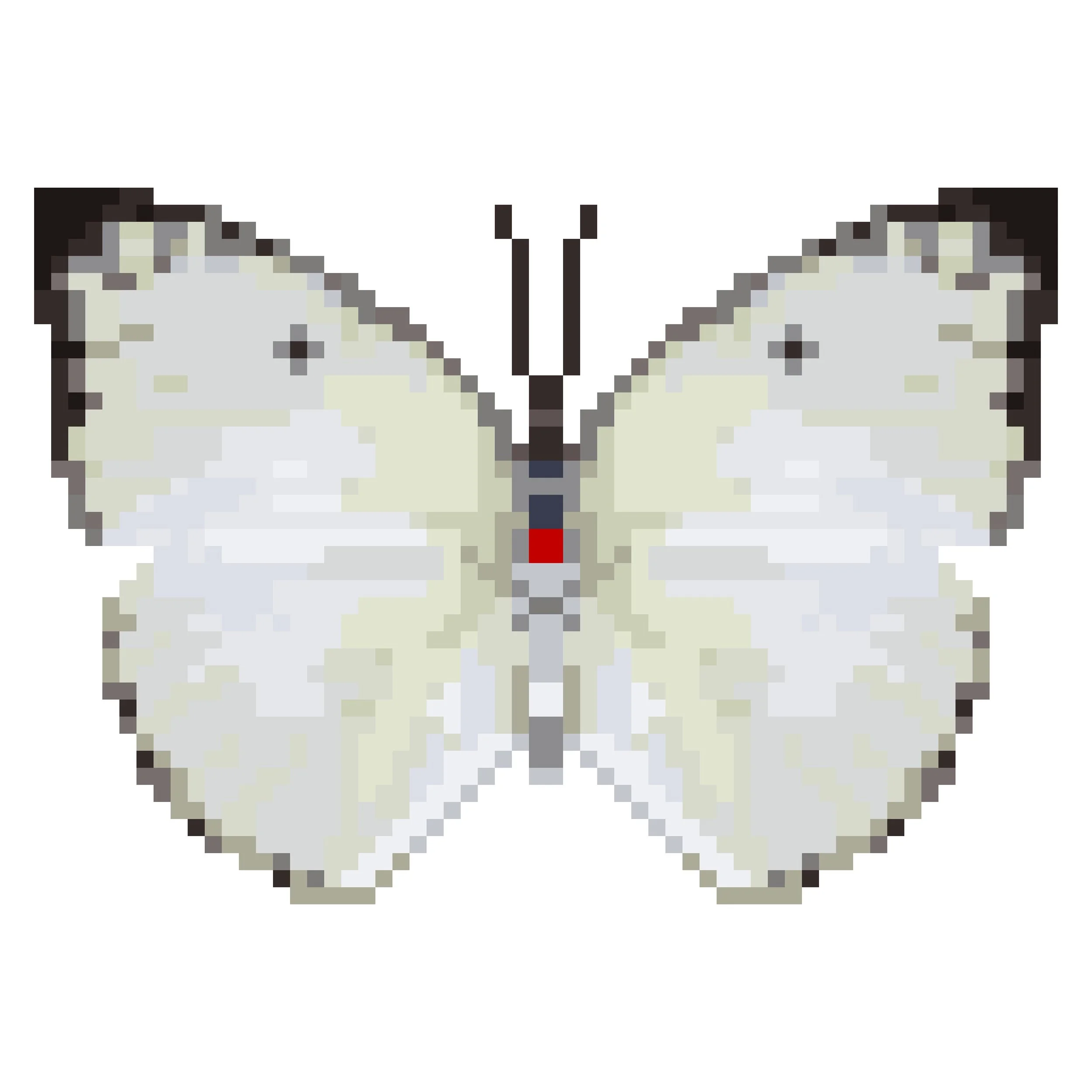 Wingpin#0107-Catopsilia florella.jpg