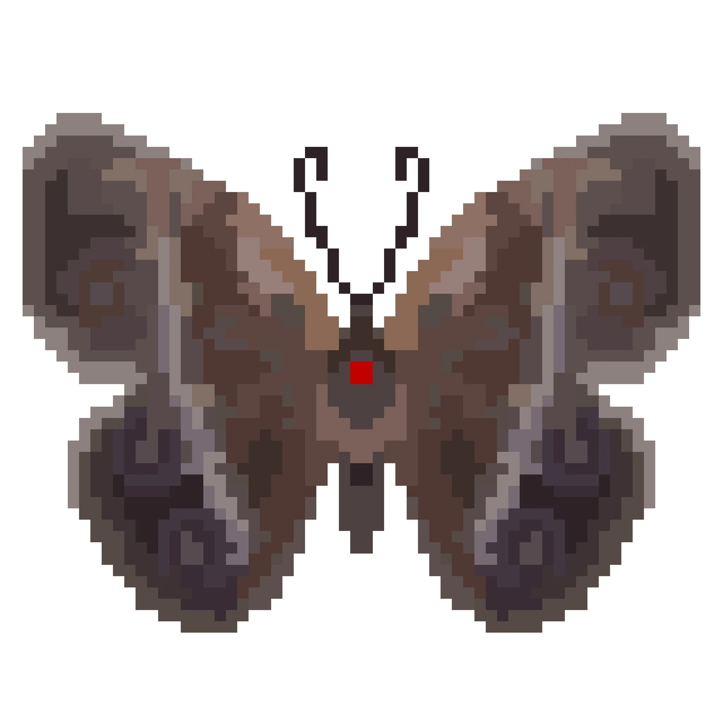 Wingpin#0451-Orsotriaena medus.jpg