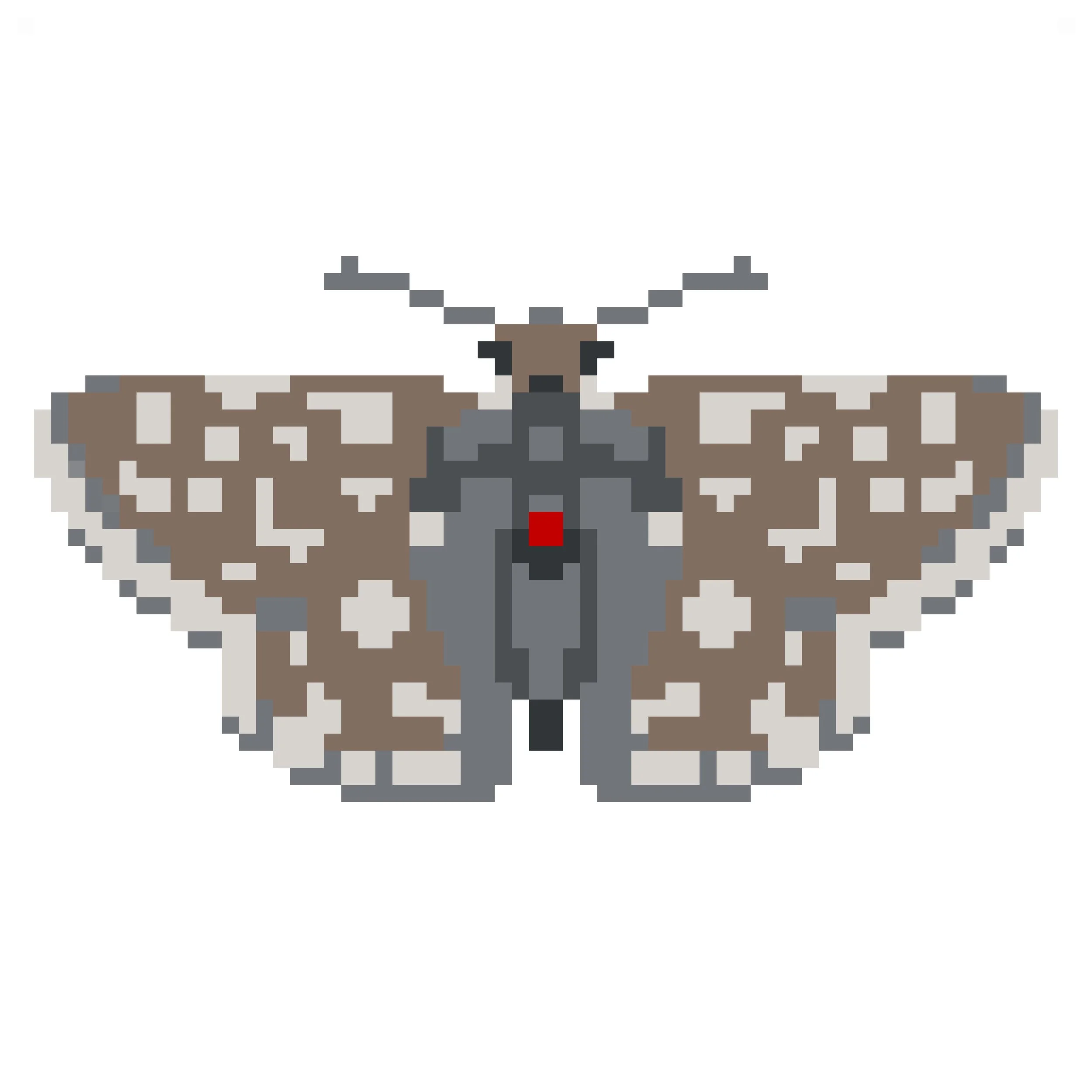 Wingpin#0006-Pyrgus centaureae.jpg