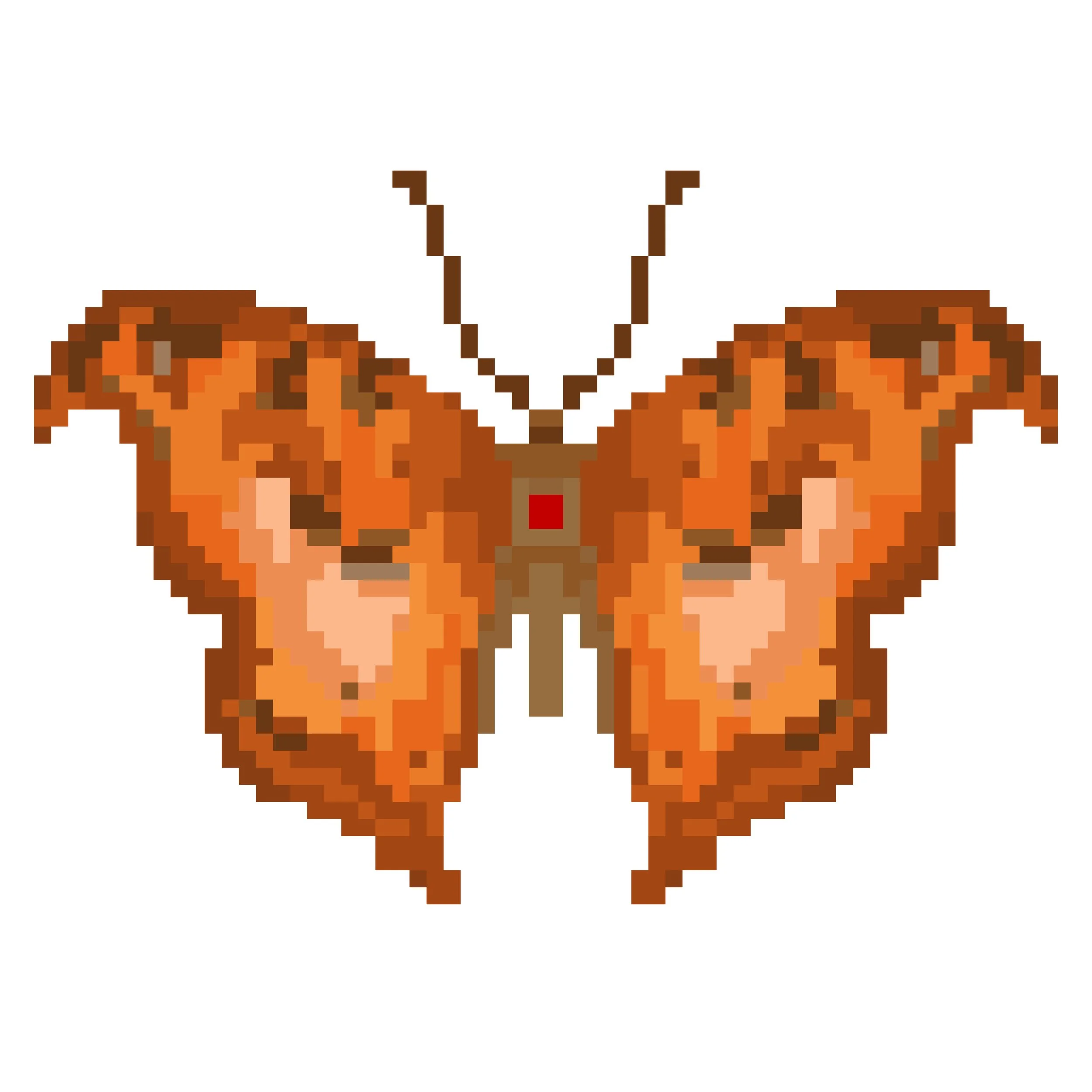 Wingpin#0213-Precis cuama.jpg