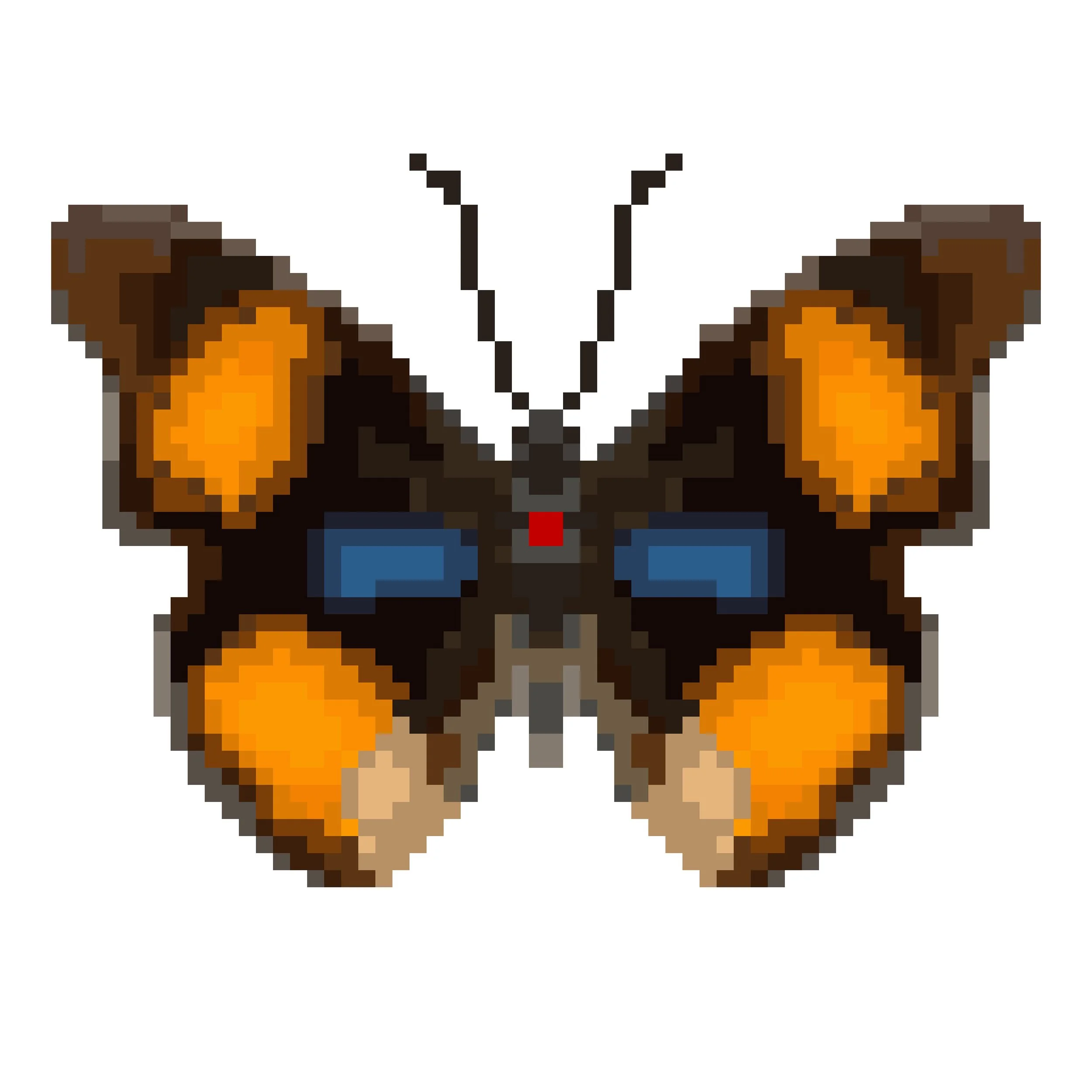 Wingpin#0148-Junonia westermanni.jpg