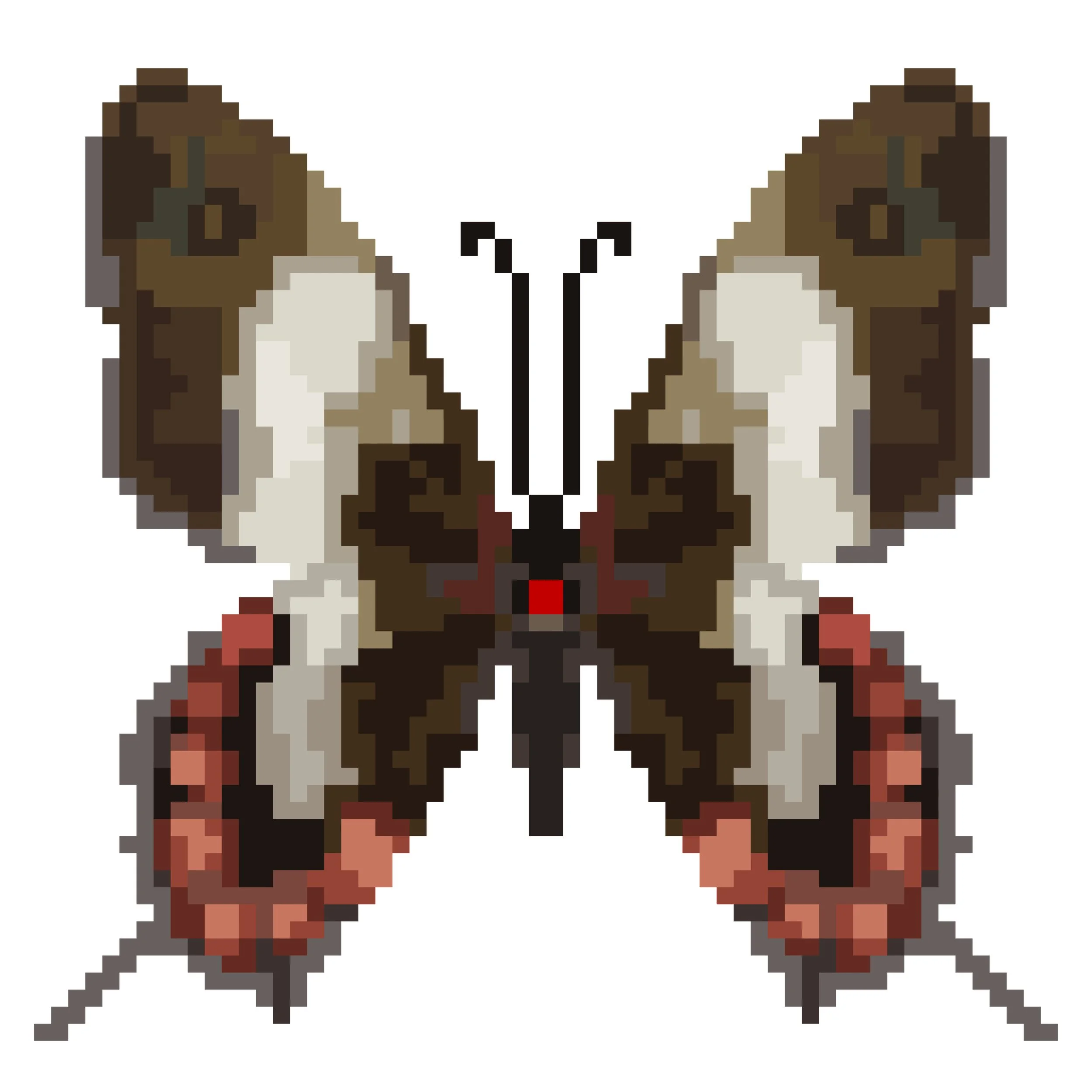 Wingpin#0762-Mimoides lysithonus harrisianus.jpg