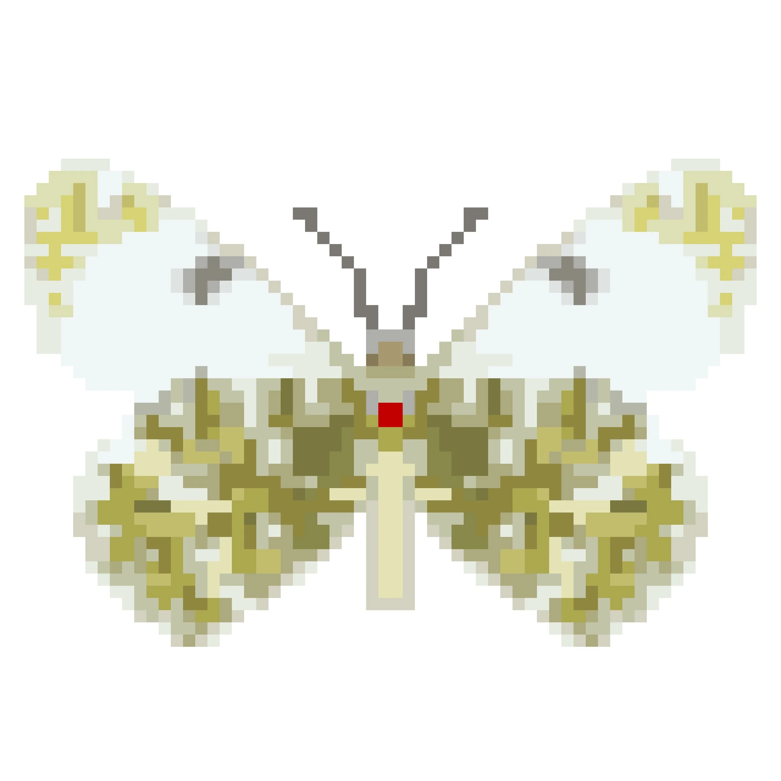 Wingpin#0250-Euchloe ausonia.jpg