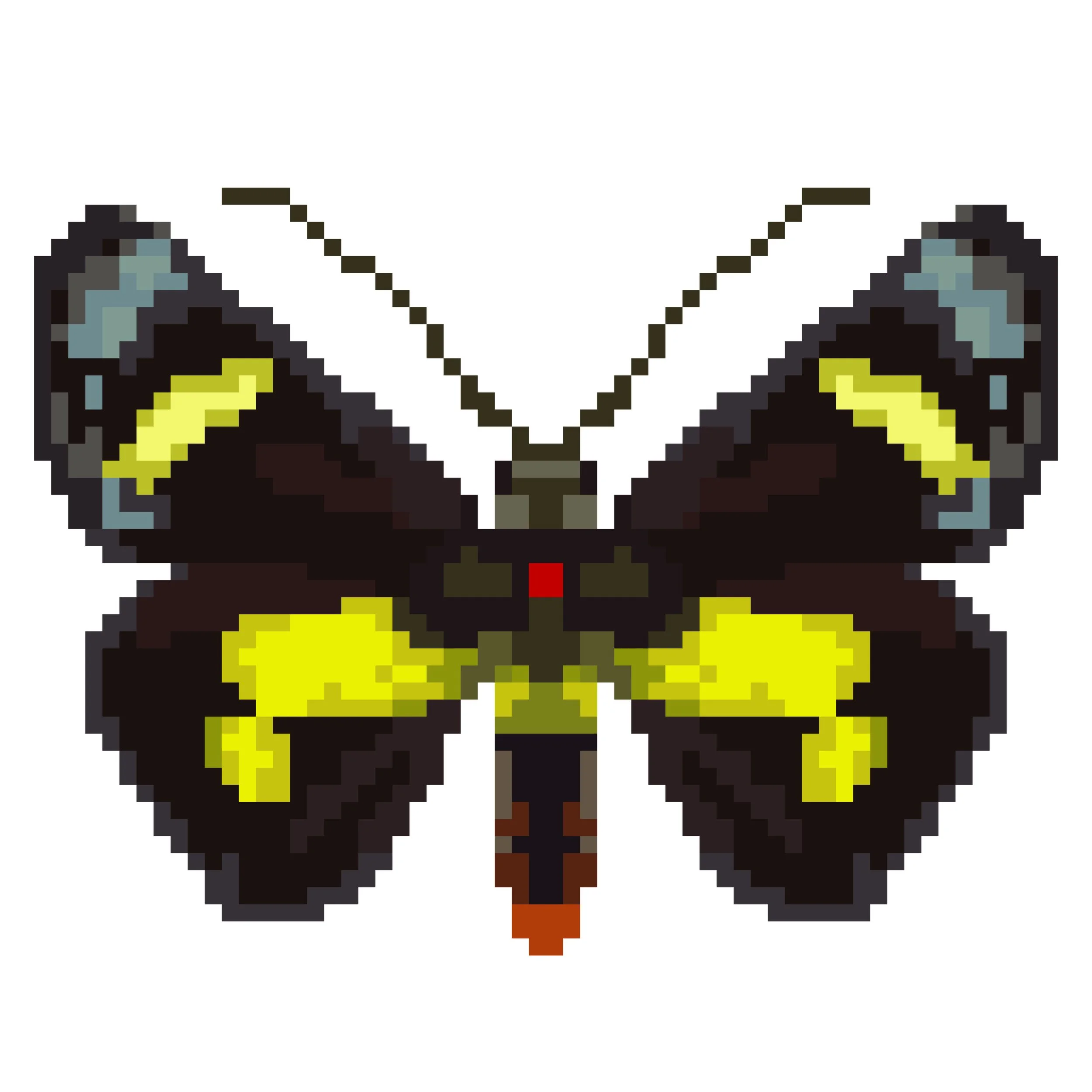 Wingpin#0951-Euschemon raffleisa.jpg