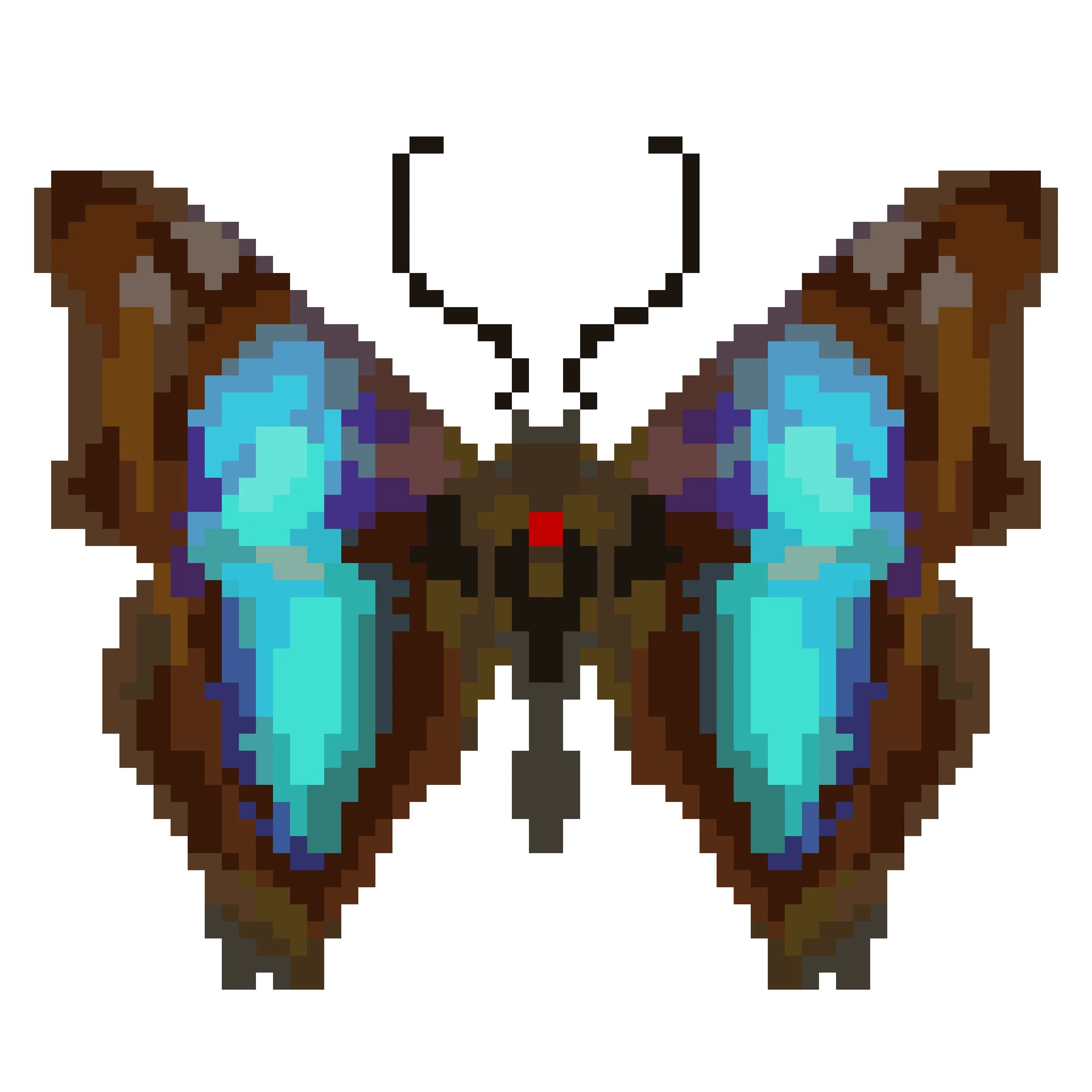 Wingpin#0954-Doxocopa cherubina.jpg