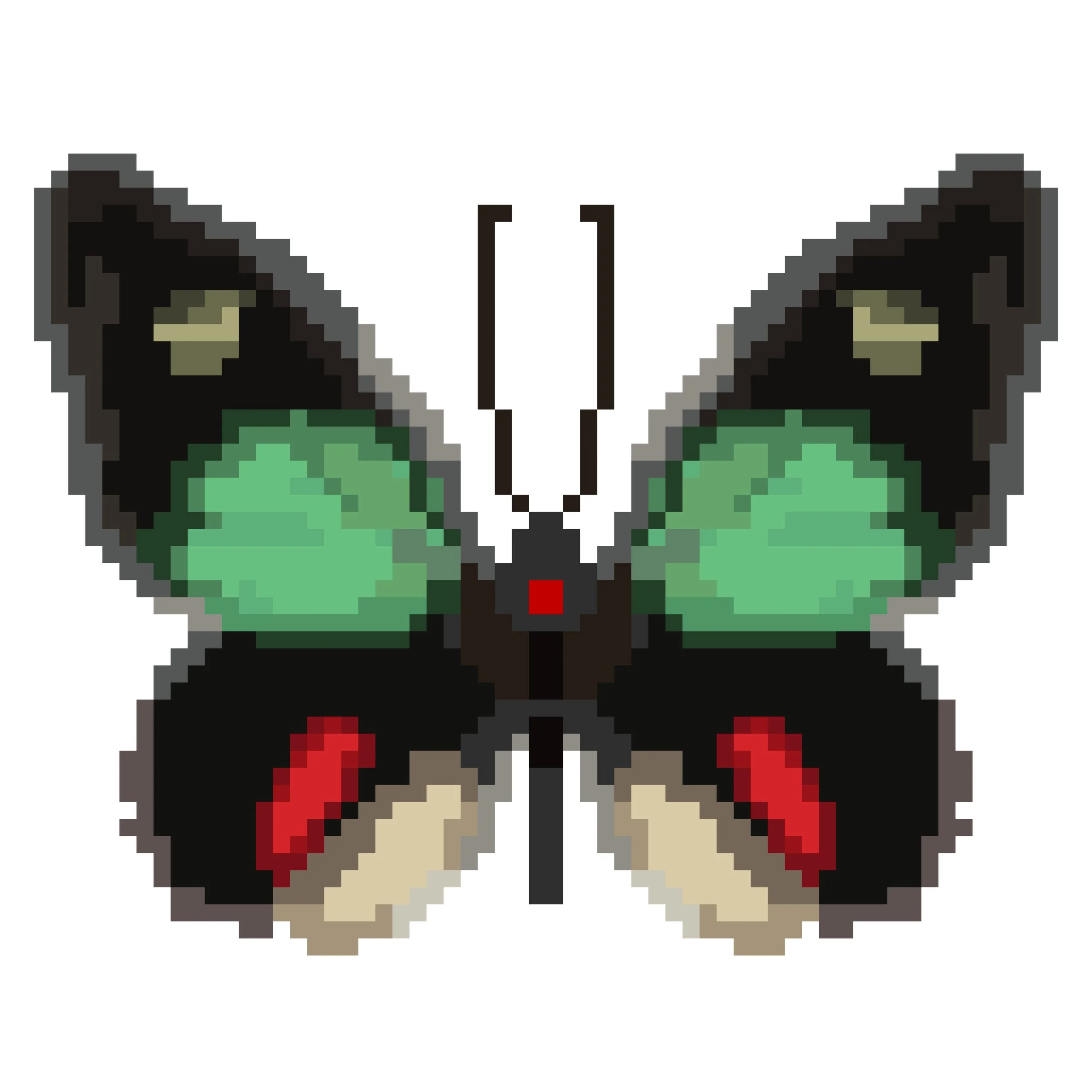 Wingpin#0591-Parides childrenae.jpg