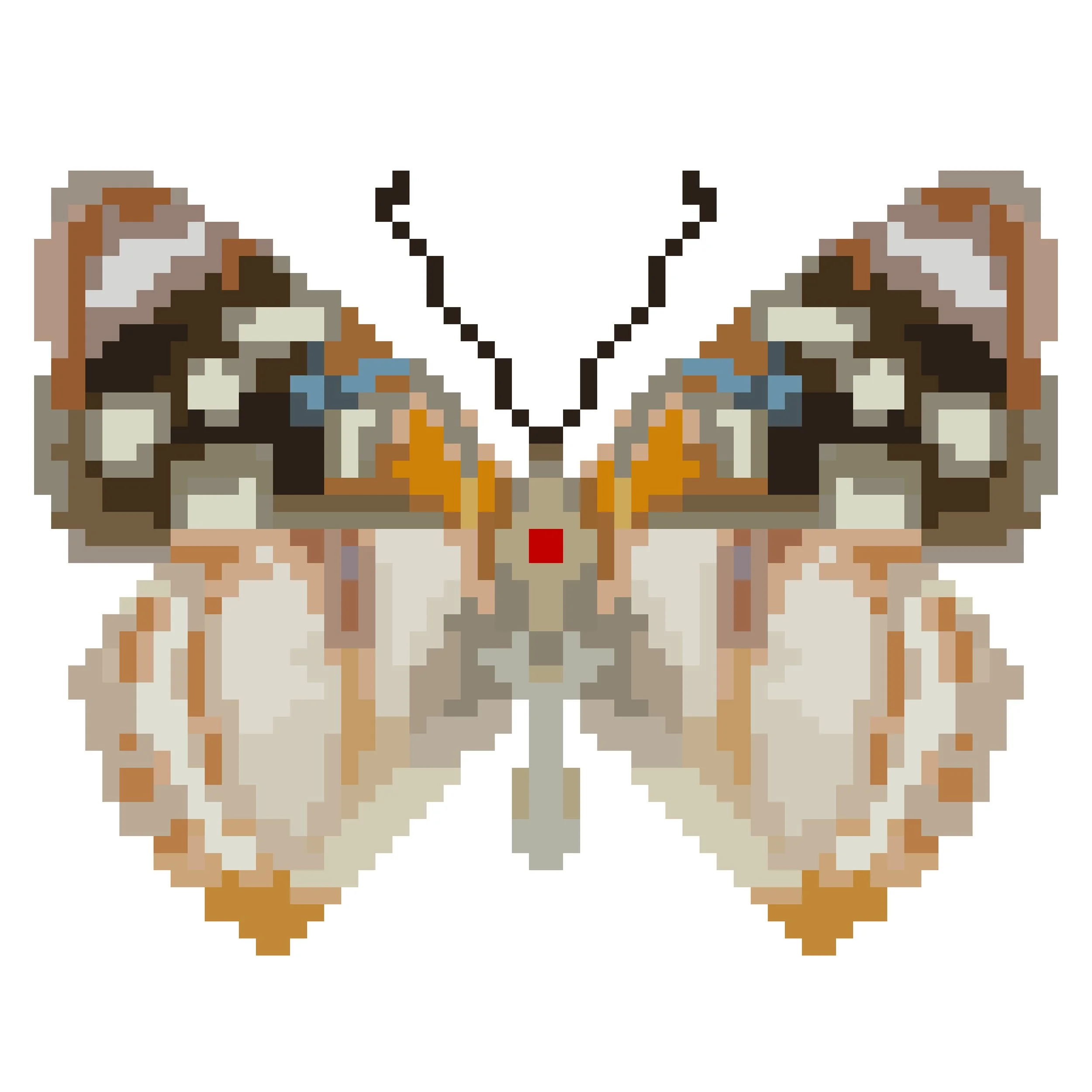 Wingpin#0876-Dynamine racidula.jpg