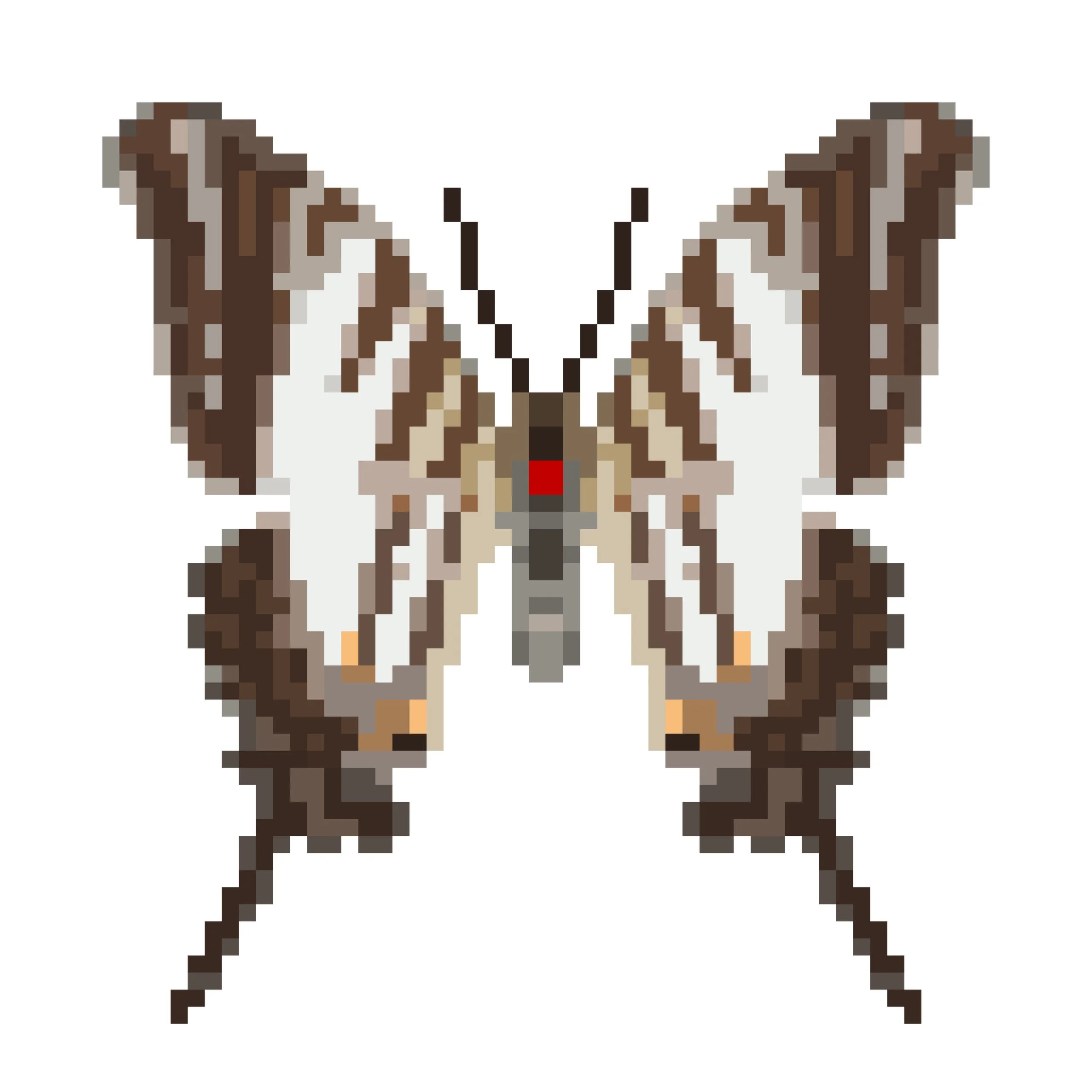 Wingpin#0833-Protographium leosthenes.jpg