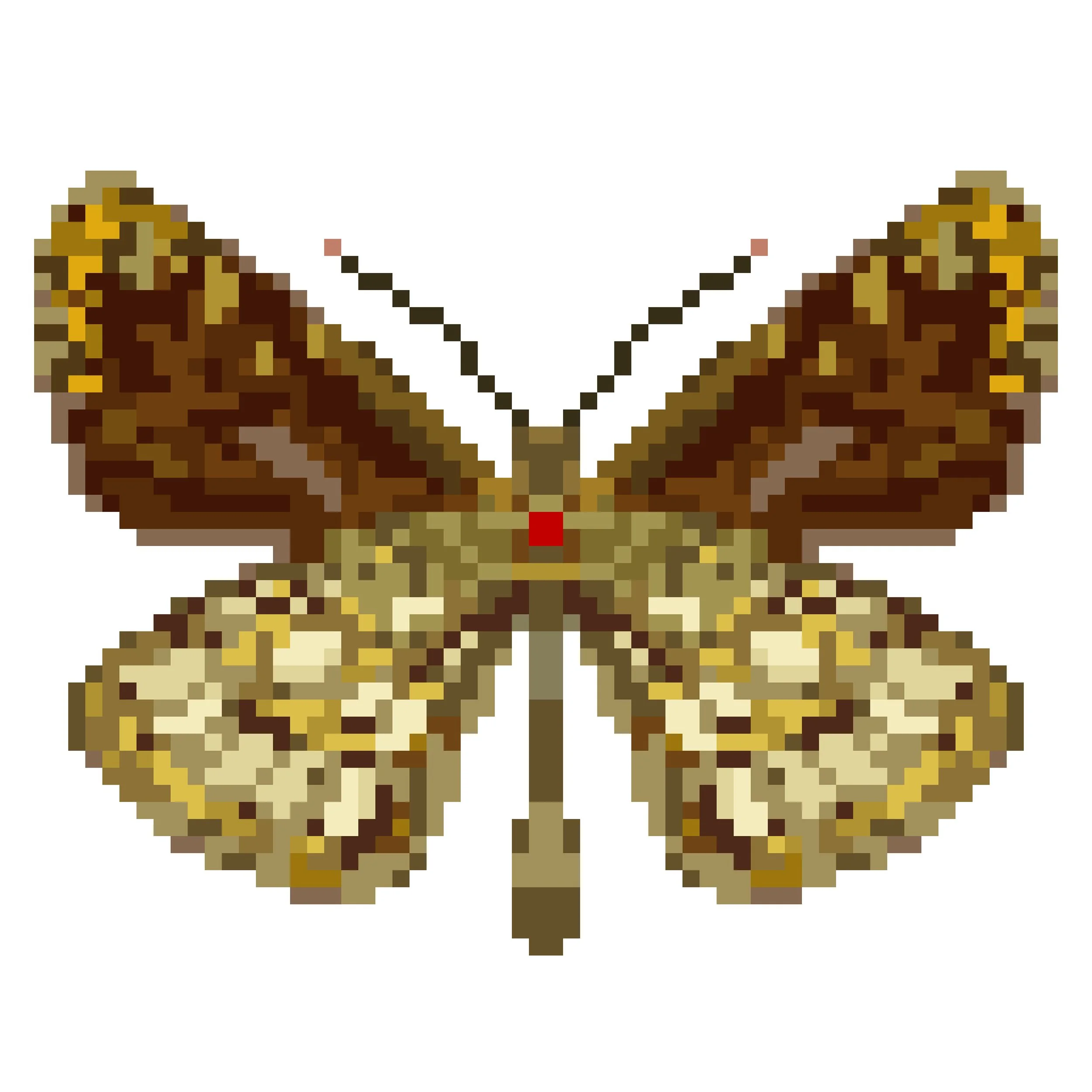 Wingpin#0772-Heteropterus morpheus.jpg