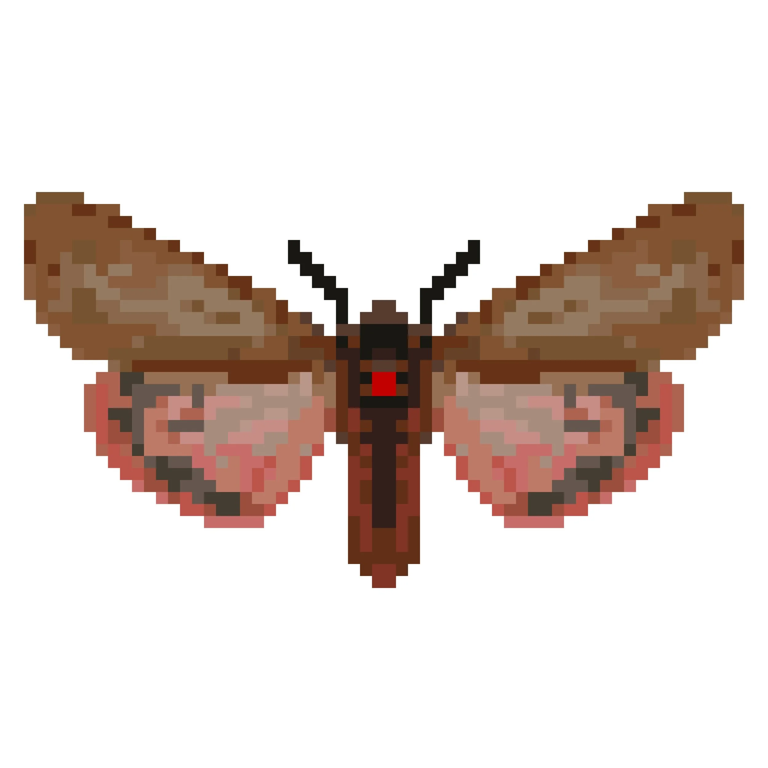 Wingpin#0258-Phragmatobia fuliginosa.jpg