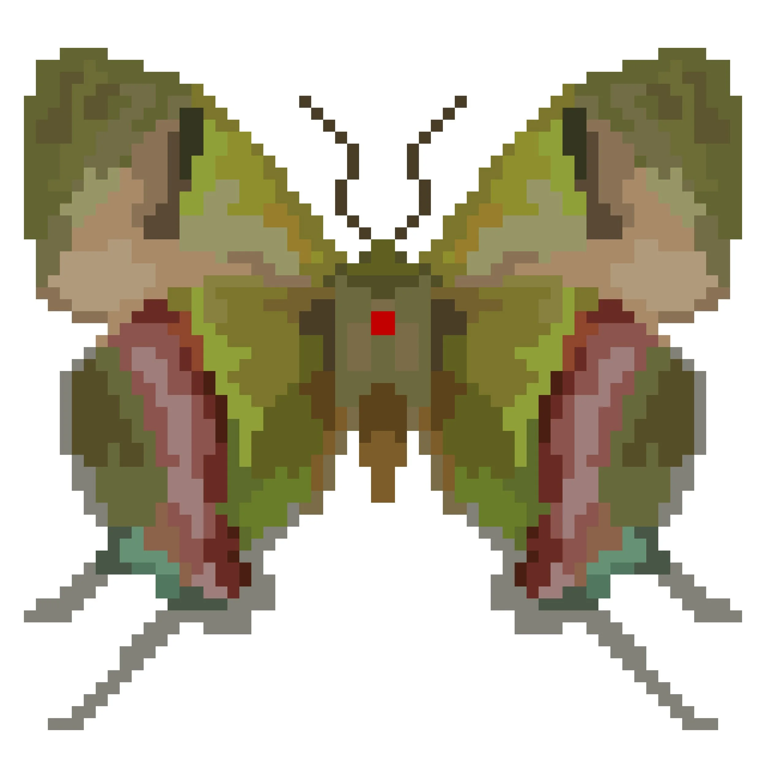 Wingpin#0771-Evenus felix.jpg