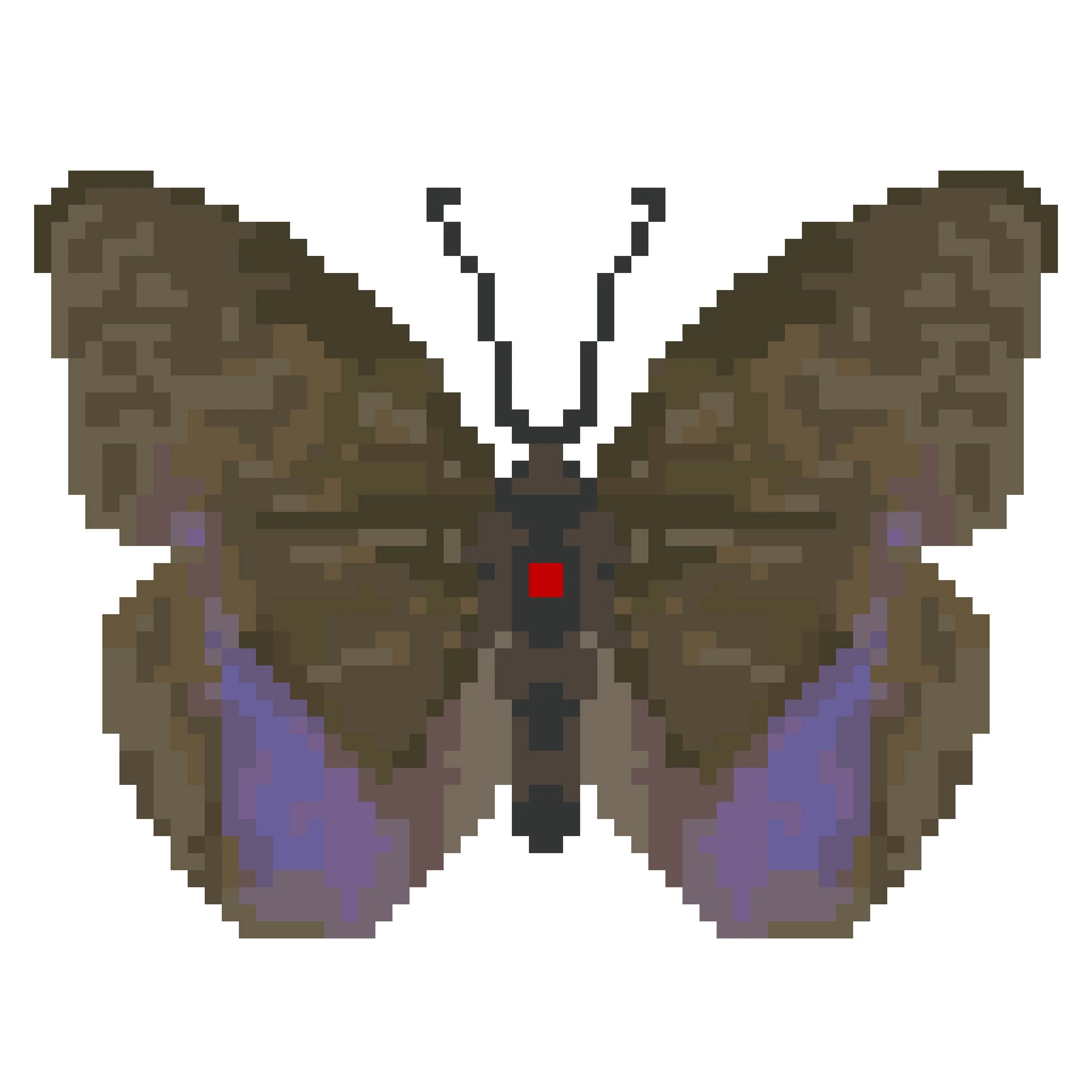 Wingpin#0168-Euphaedra harpalyce.jpg