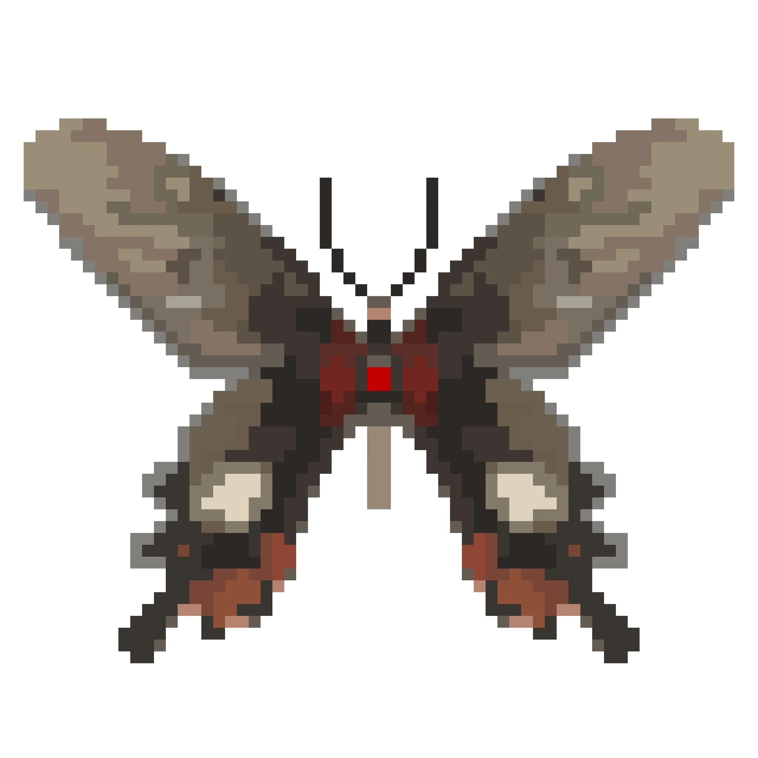 Wingpin#0423-Papilio bootes.jpg