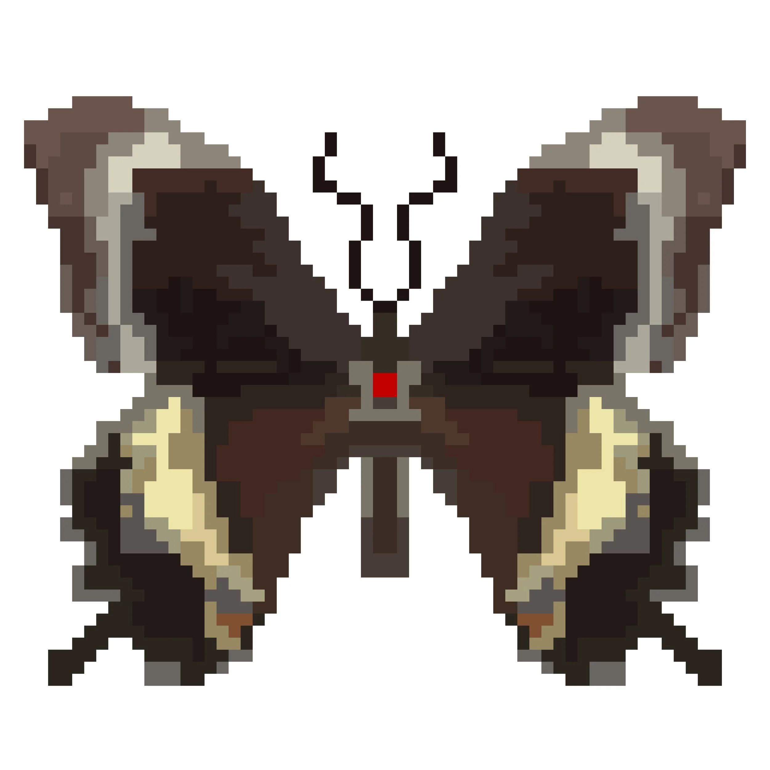 Wingpin#0753-Papilio fuscus xenophilus.jpg