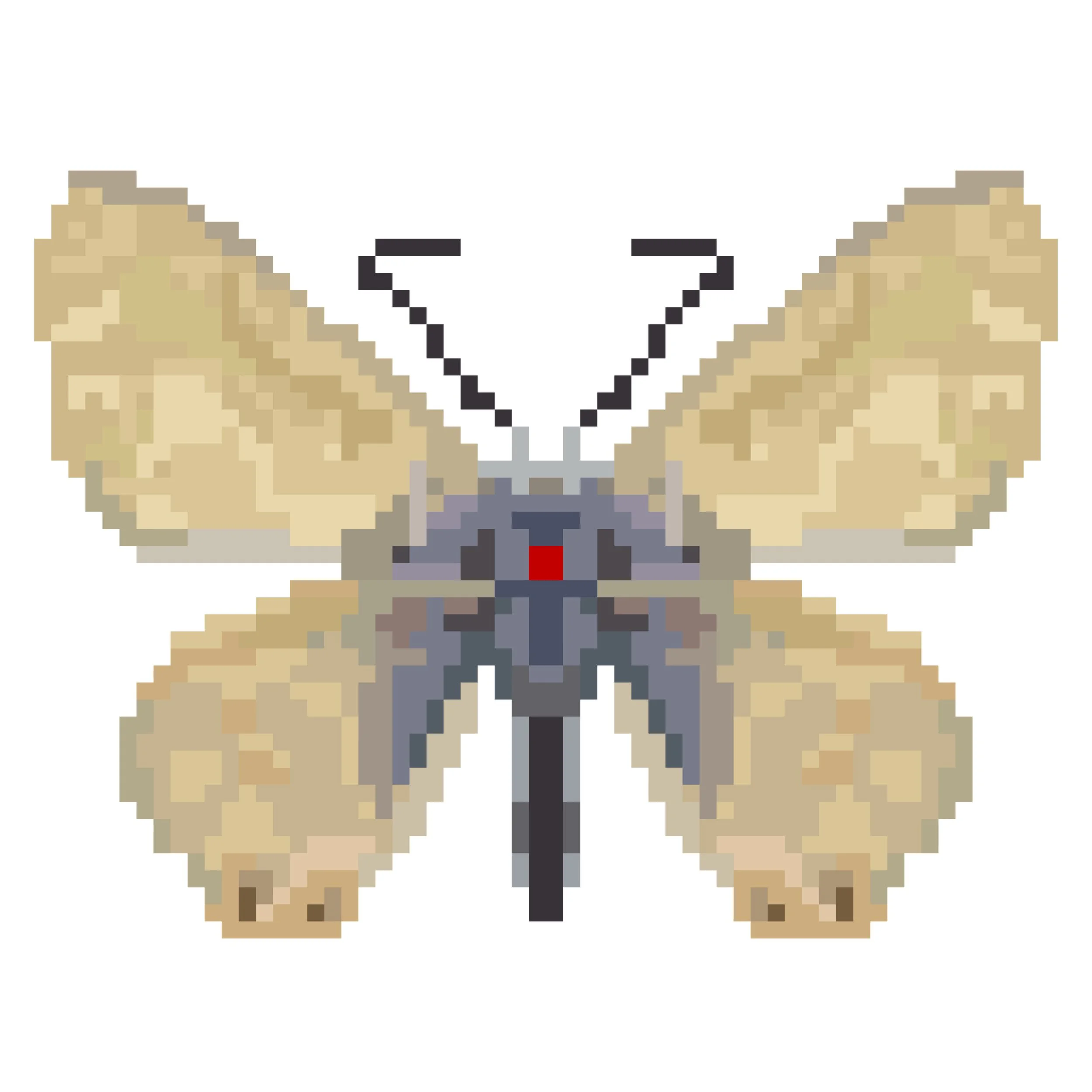 Wingpin#0699-Nacaduba biocellata.jpg