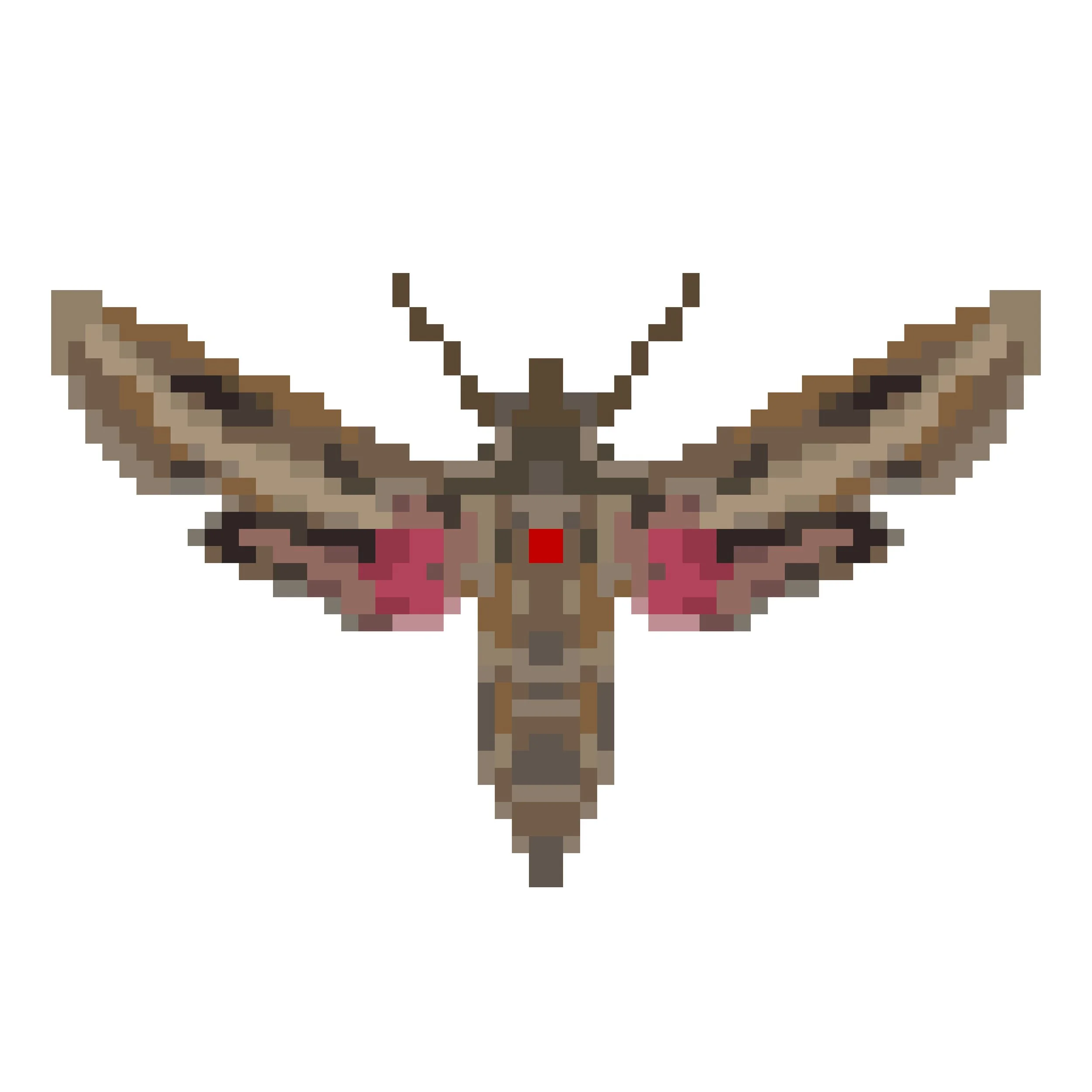Wingpin#0138-Hippotion celerio.jpg