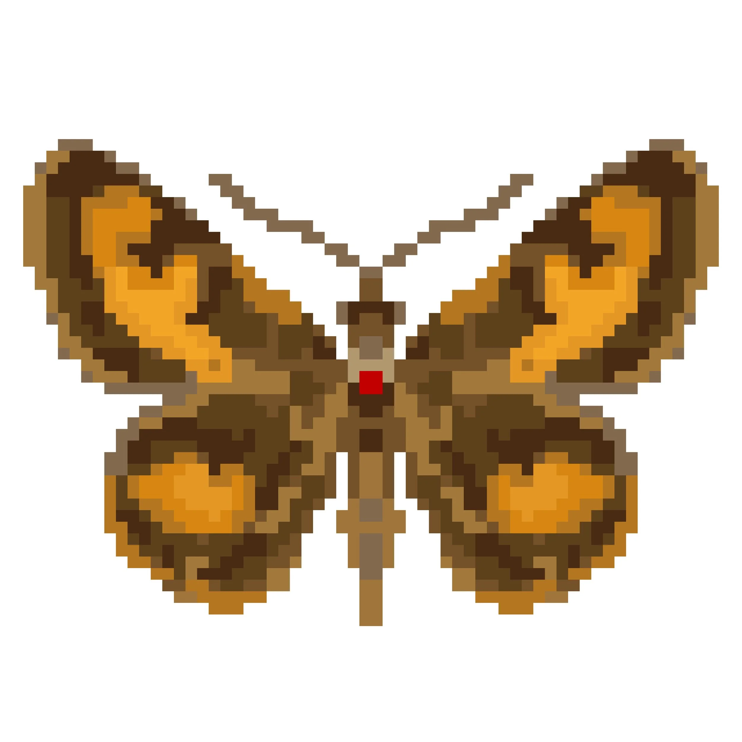 Wingpin#0170-Acada biseriata.jpg