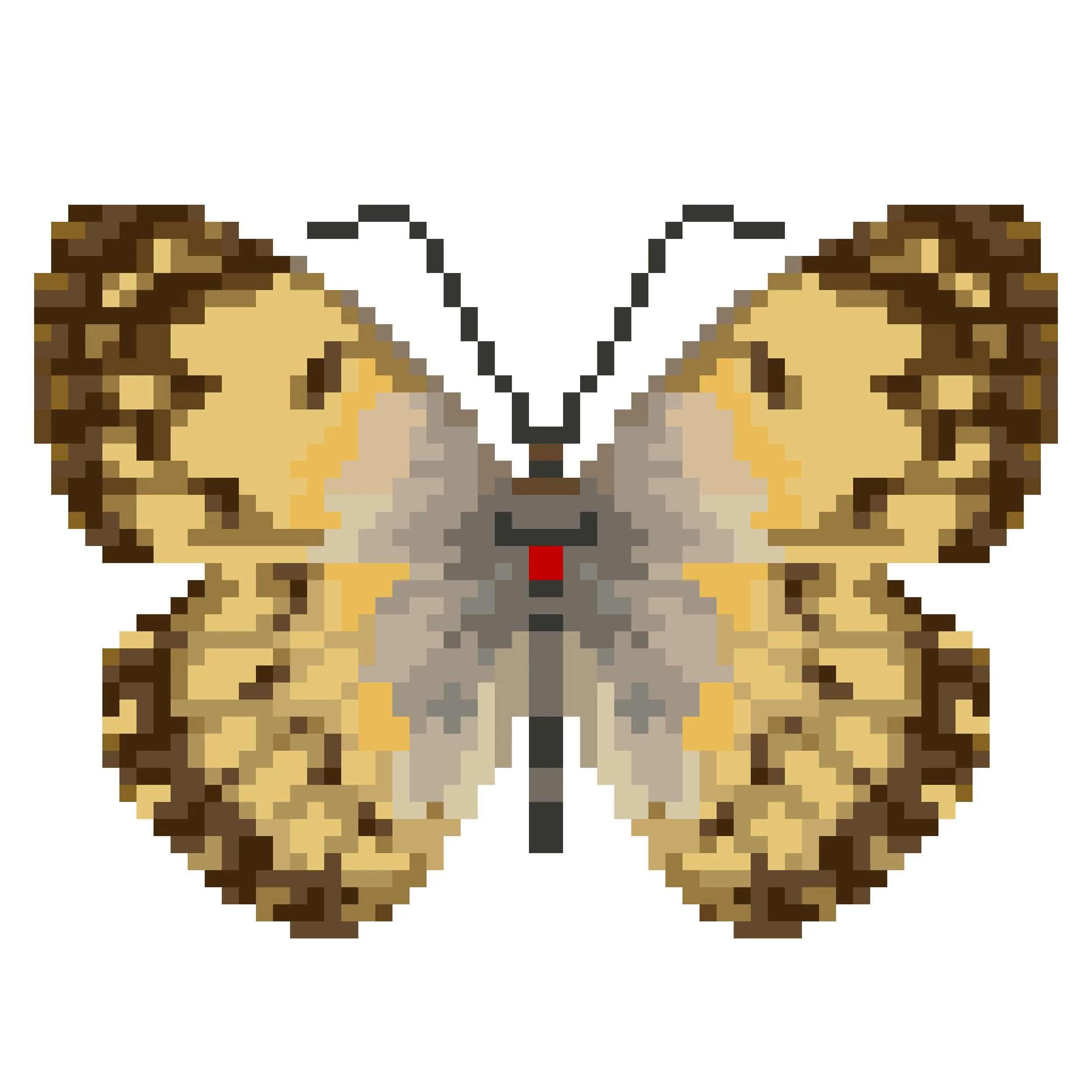 Wingpin#0204-Colotis vesta.jpg