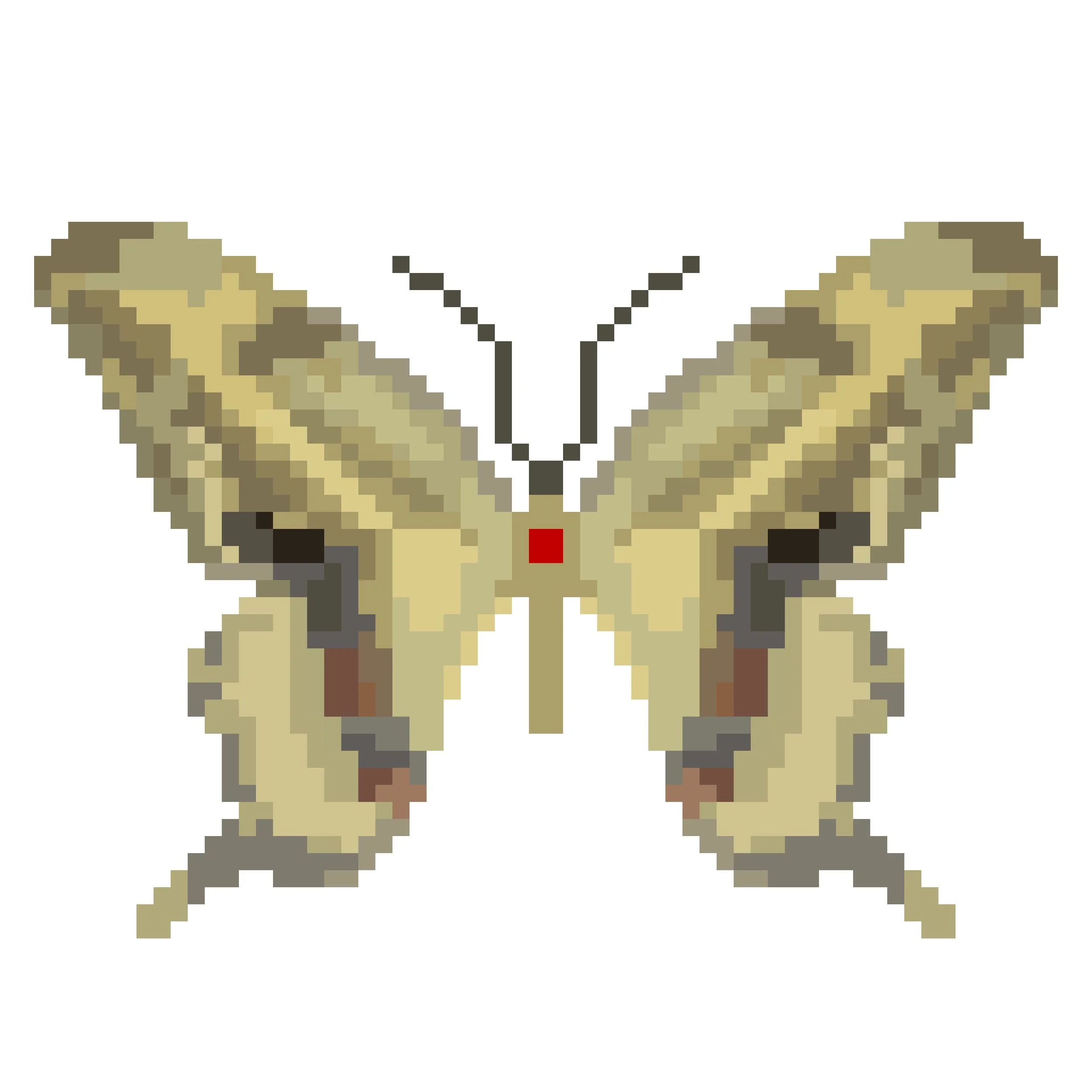 Wingpin#0938-Papilio cresphontes rumiko.jpg