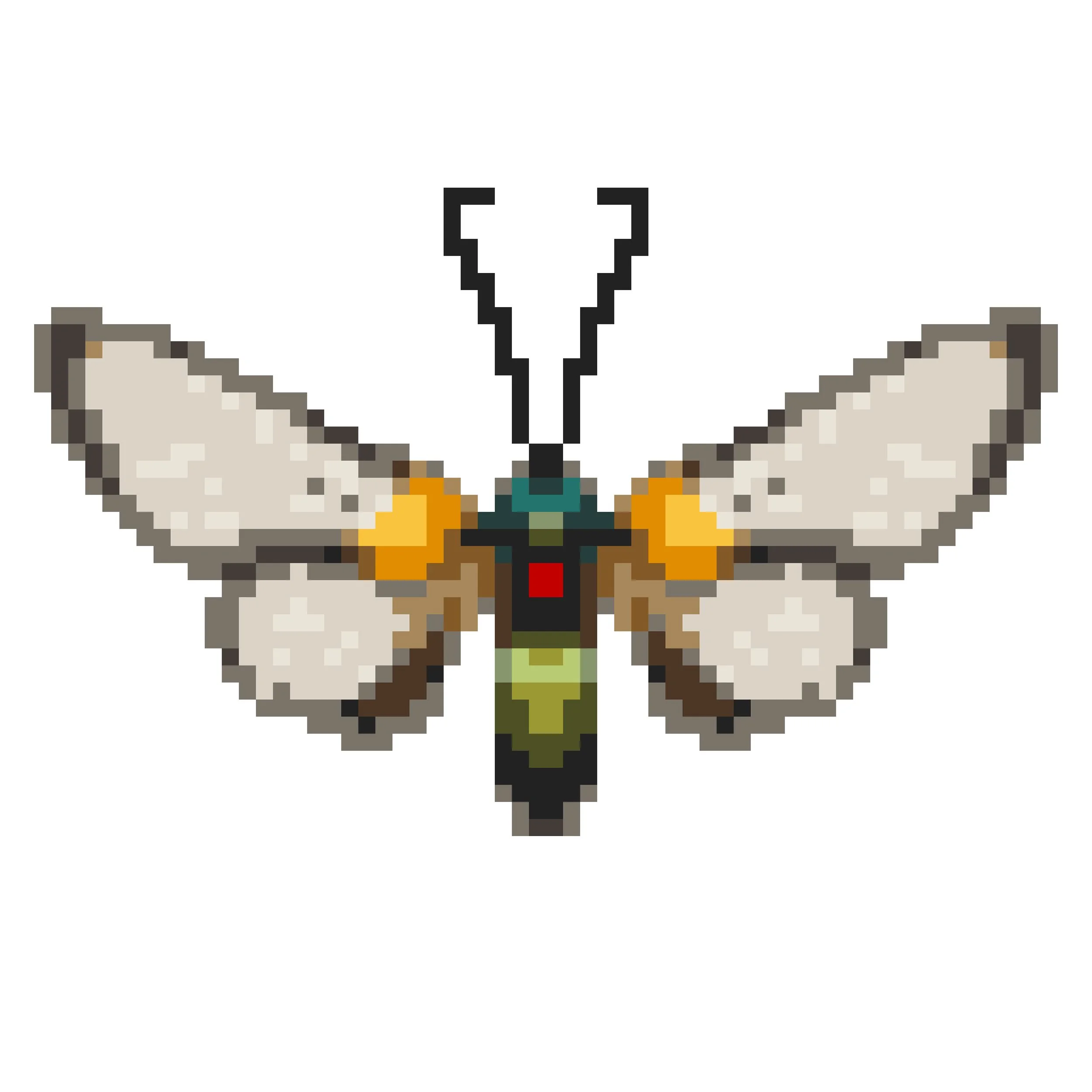 Wingpin#0076-Arctiidae.jpg