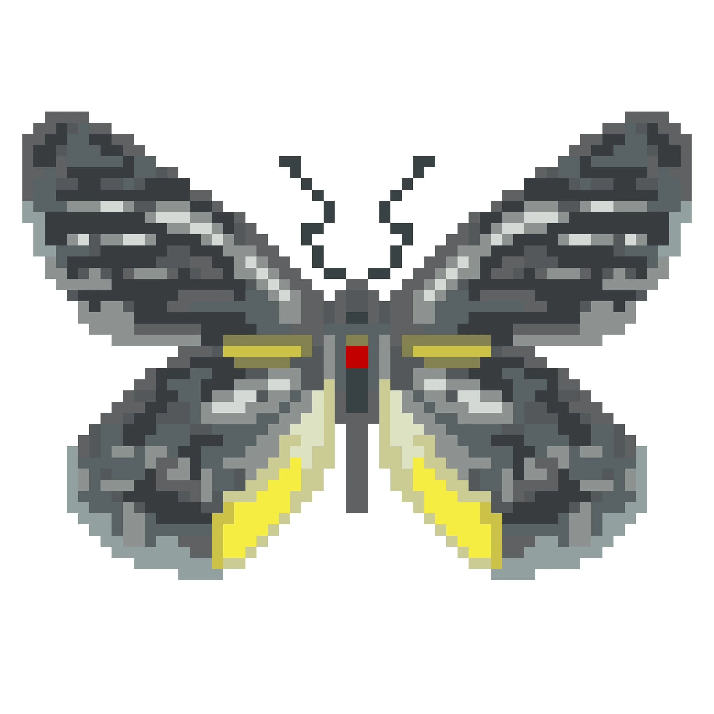 Wingpin#0446-Delias lativitta.jpg