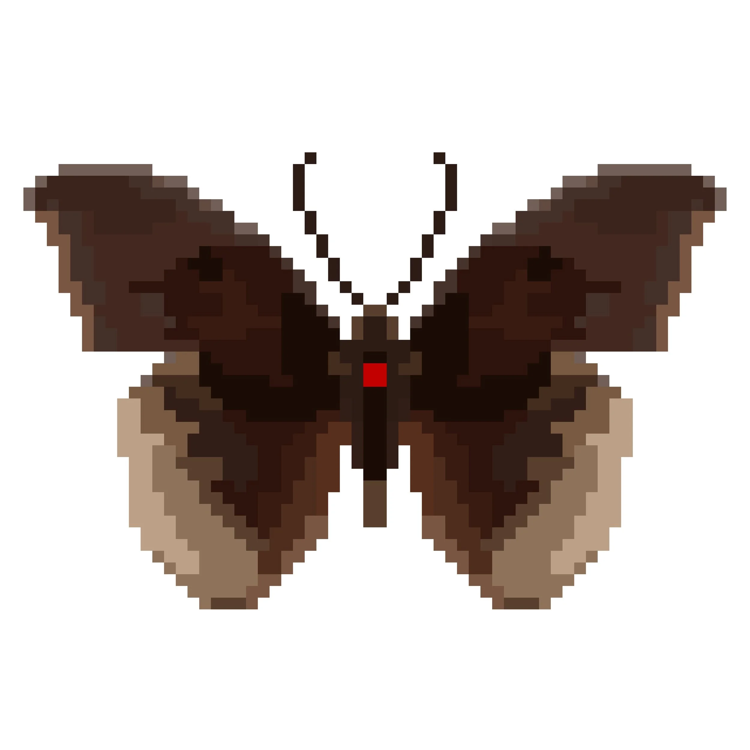 Wingpin#0388-Tanaecia lepidea.jpg