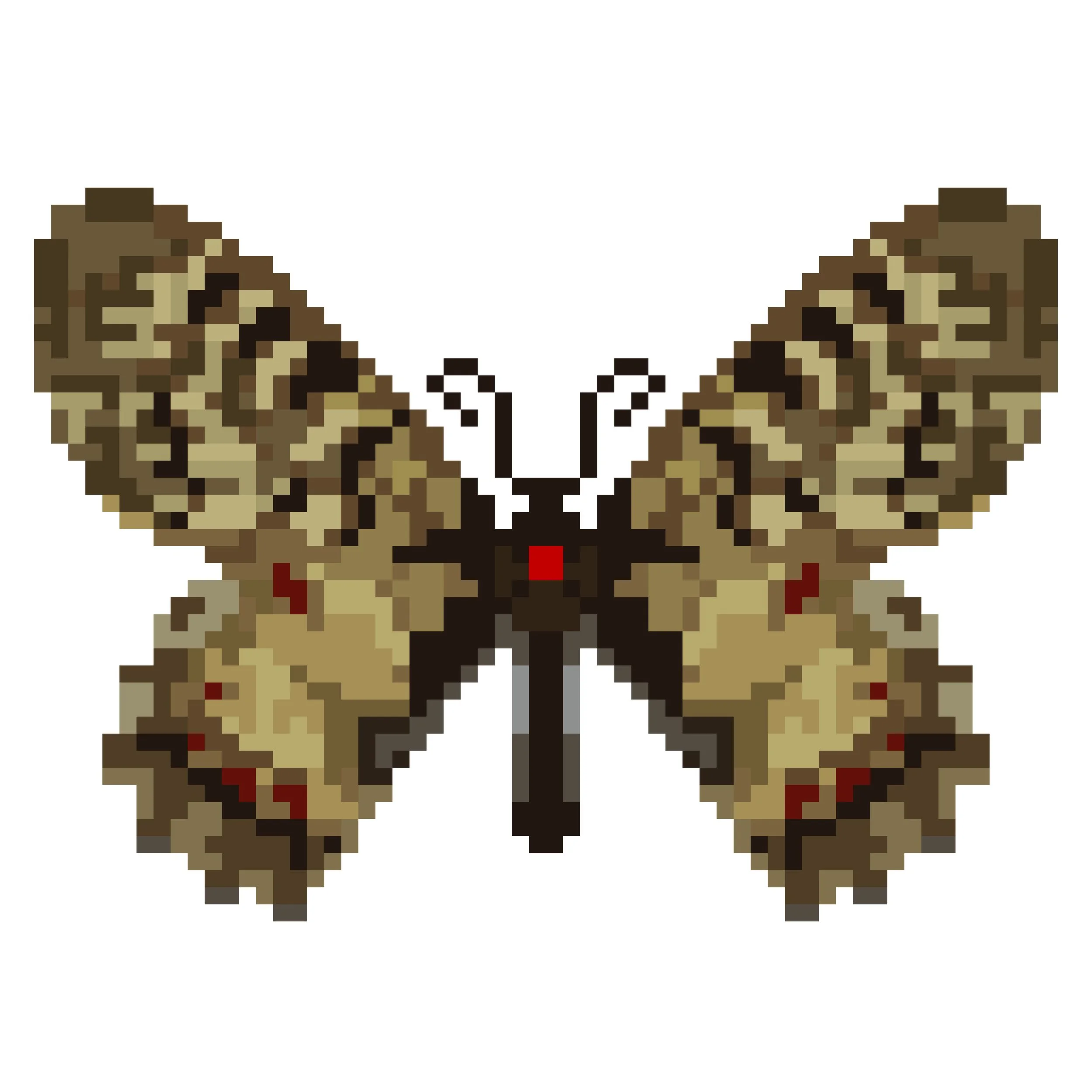 Wingpin#0573-Zerynthia polyxena.jpg
