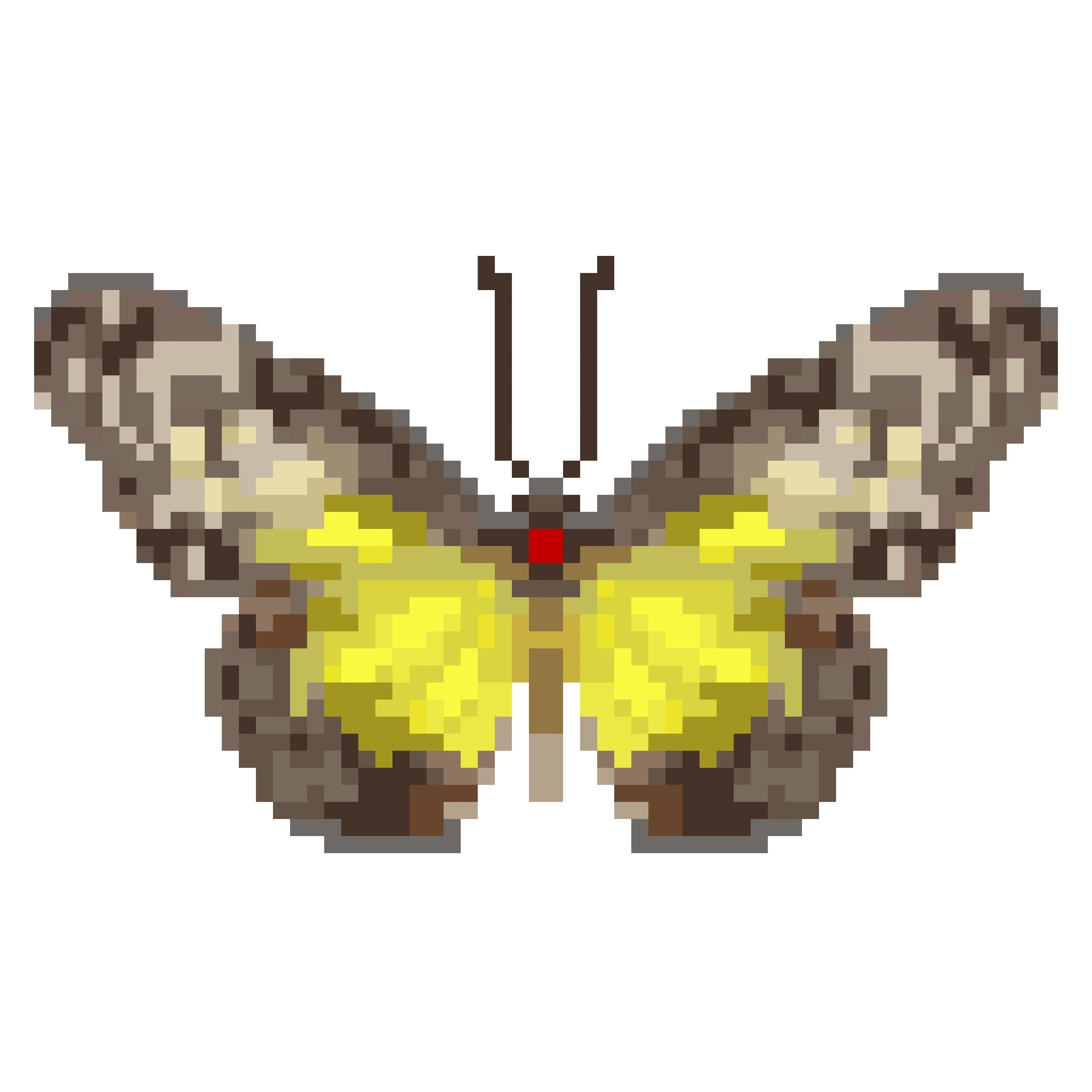Wingpin#0518-Parantica aspasia.jpg