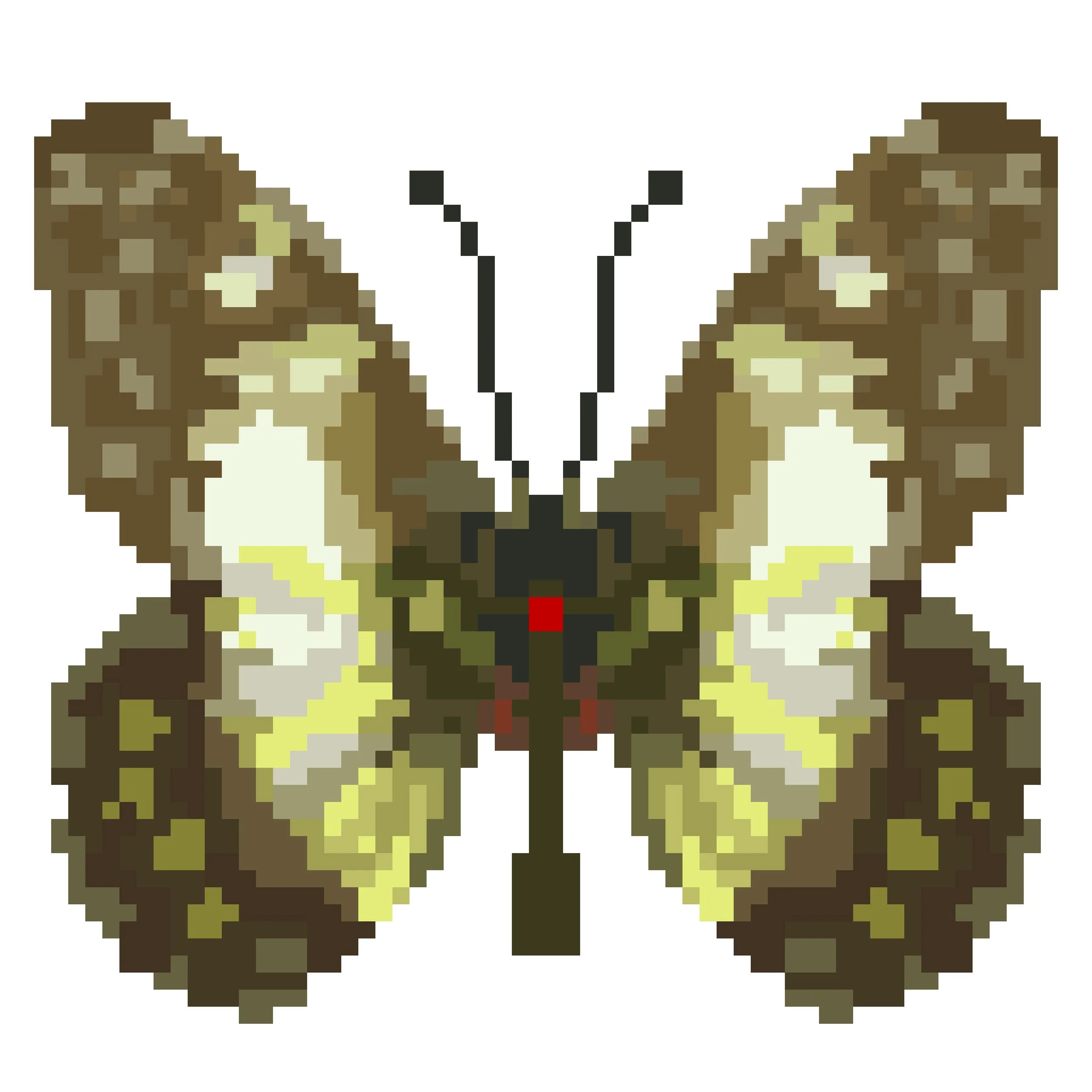 Wingpin#0739-Catasticta sisamnus.jpg