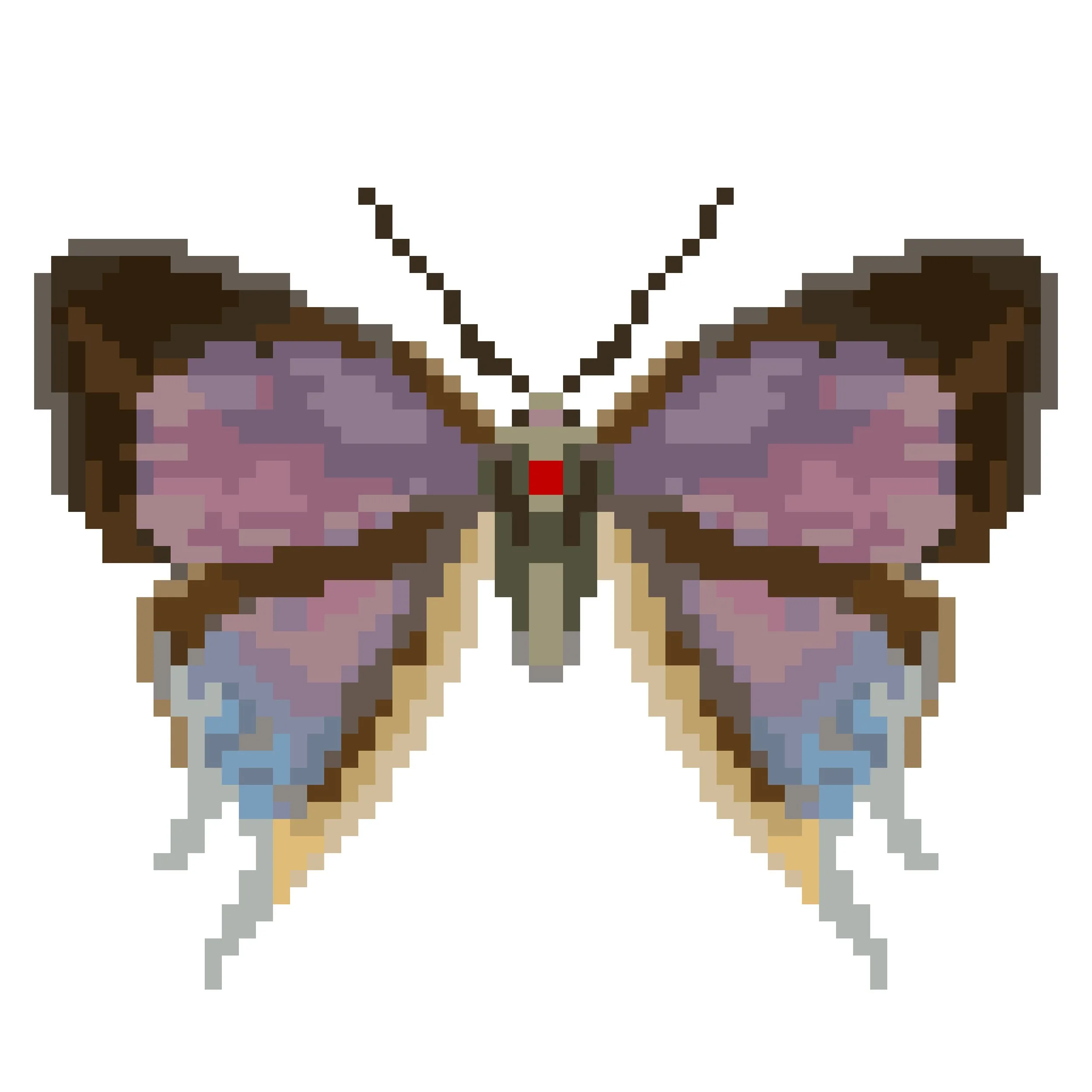 Wingpin#0282-Hemiolaus caeculus.jpg