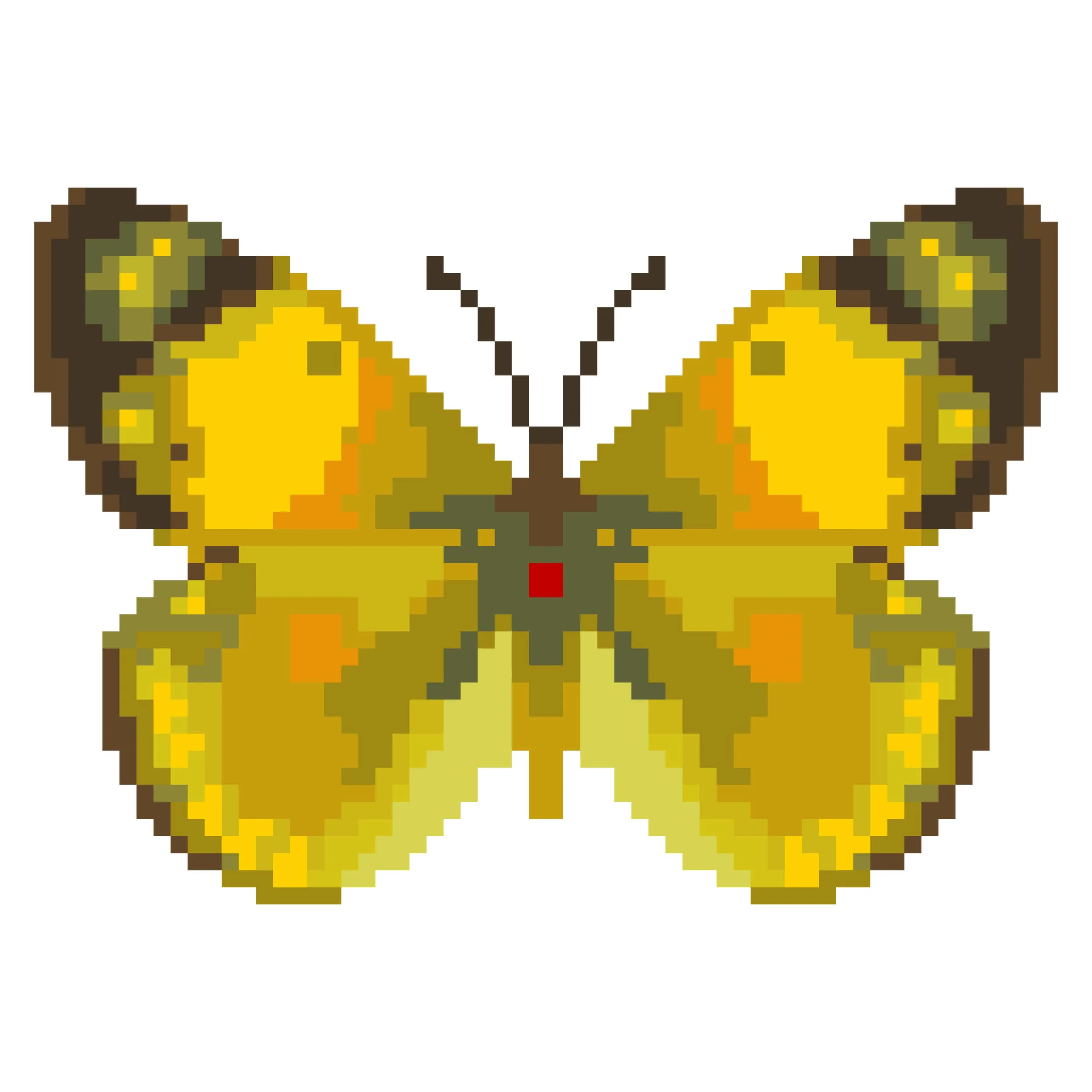 Wingpin#0070-Colias myrmidone.jpg