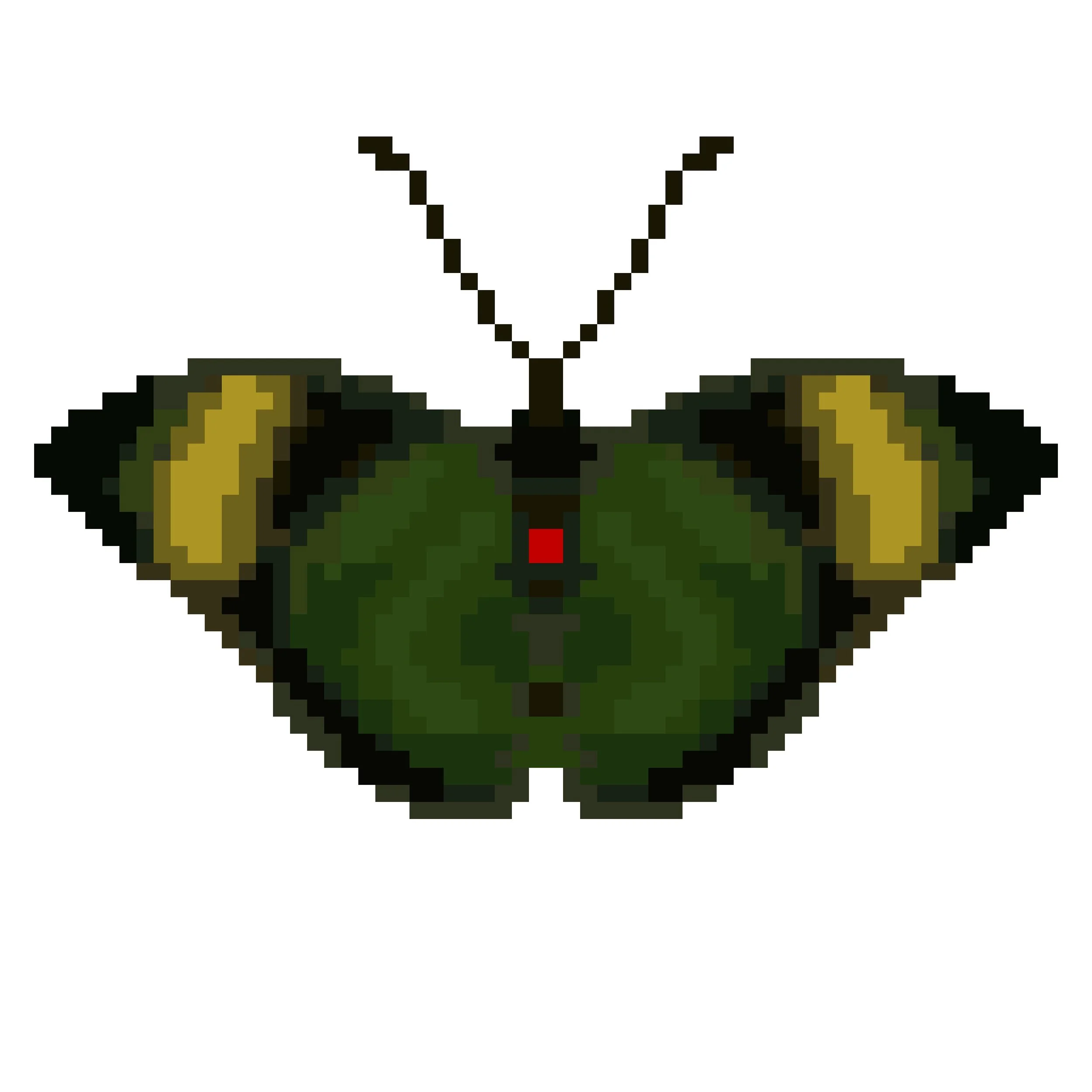 Wingpin#0117-Euphaedra ceres.jpg