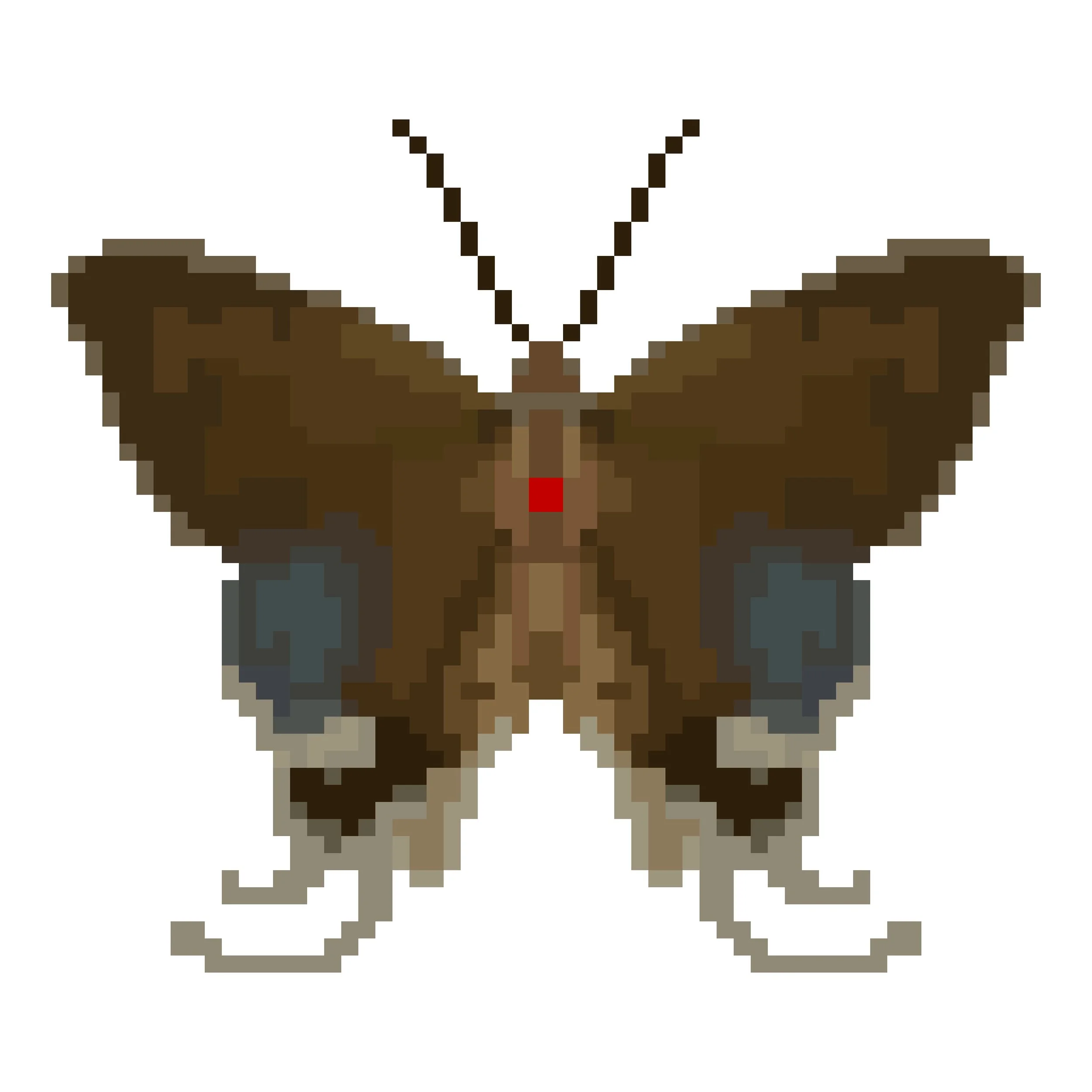 Wingpin#0416-Hypolycaena hatita.jpg