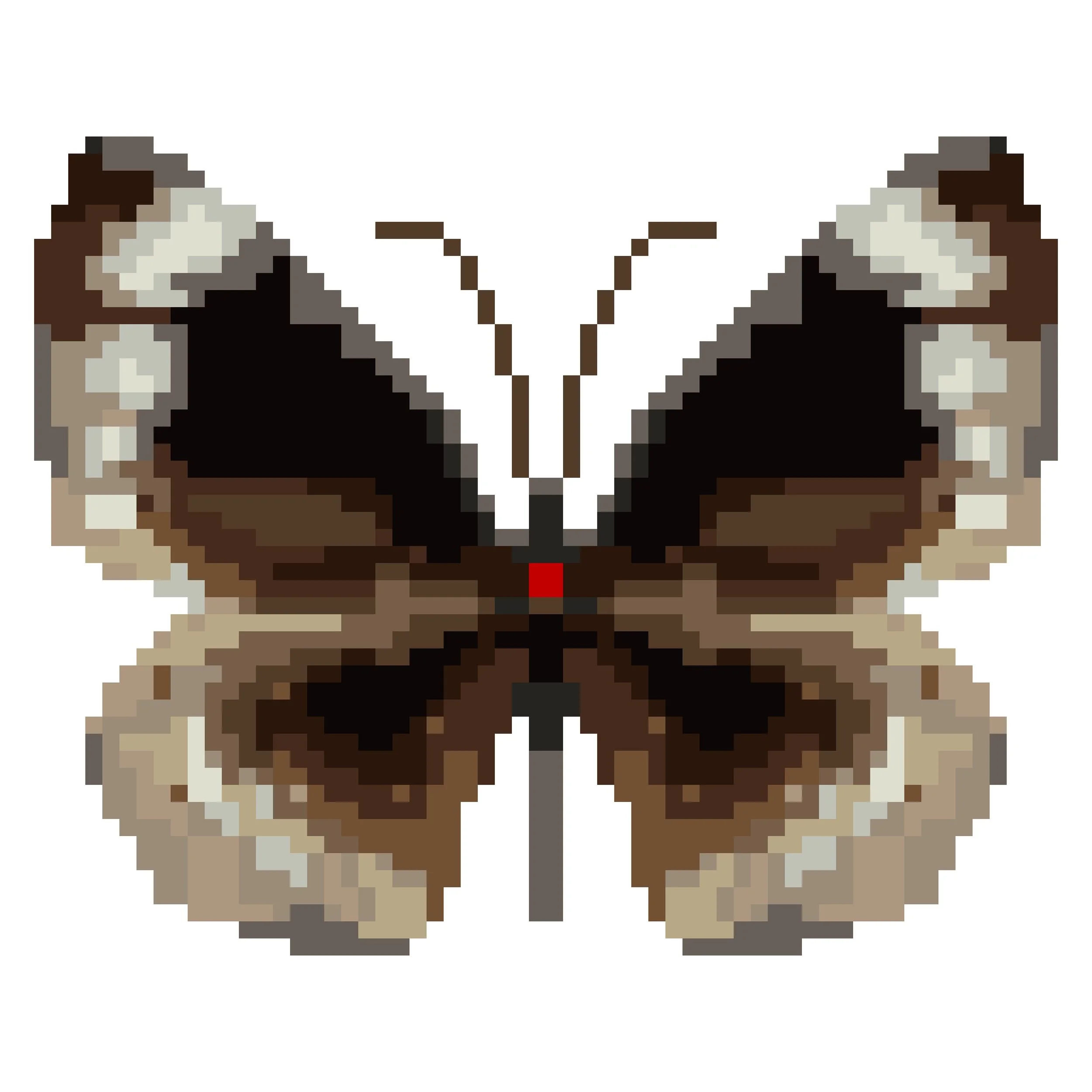 Wingpin#0464-Euploea algea.jpg