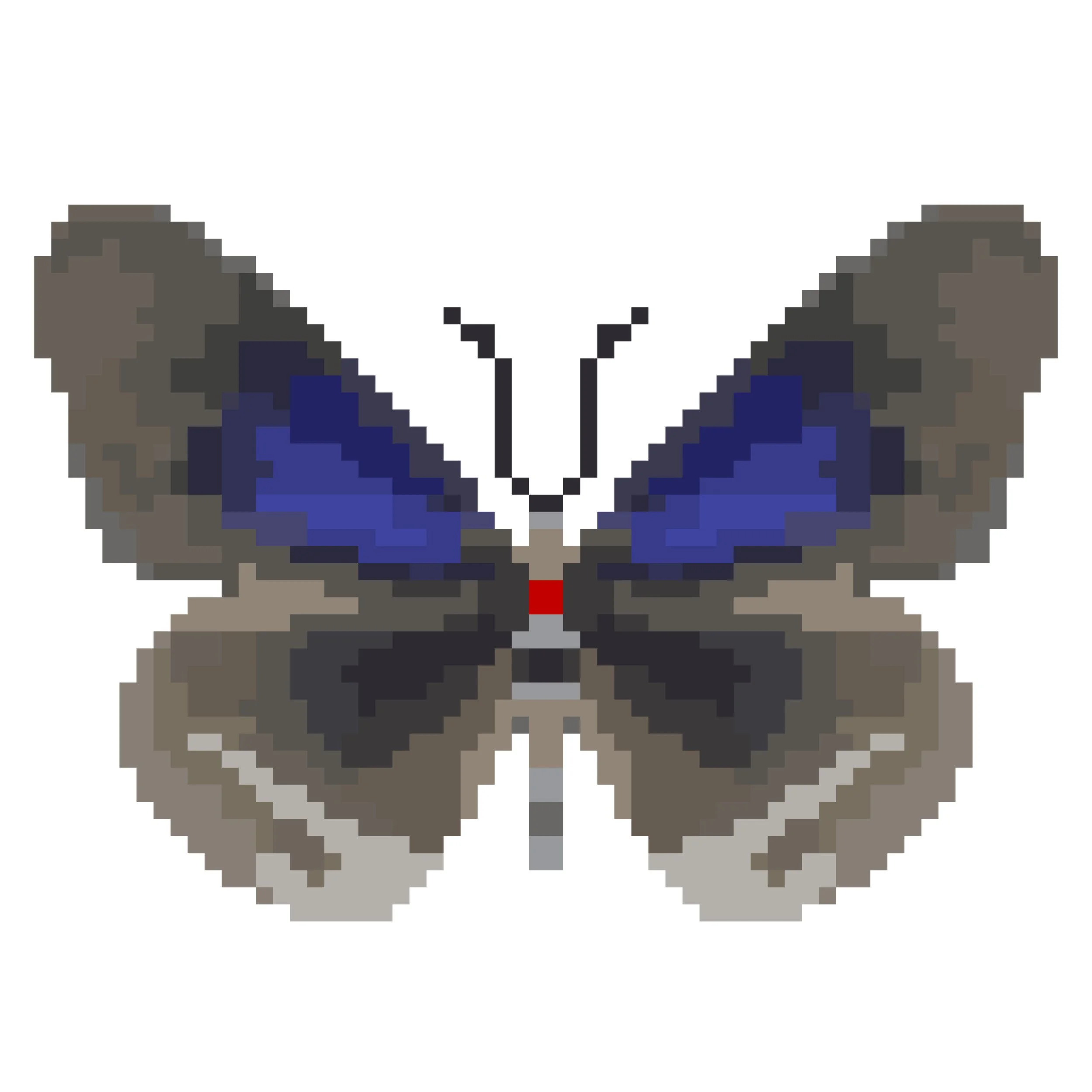 Wingpin#0463-Euploea camaralzeman.jpg