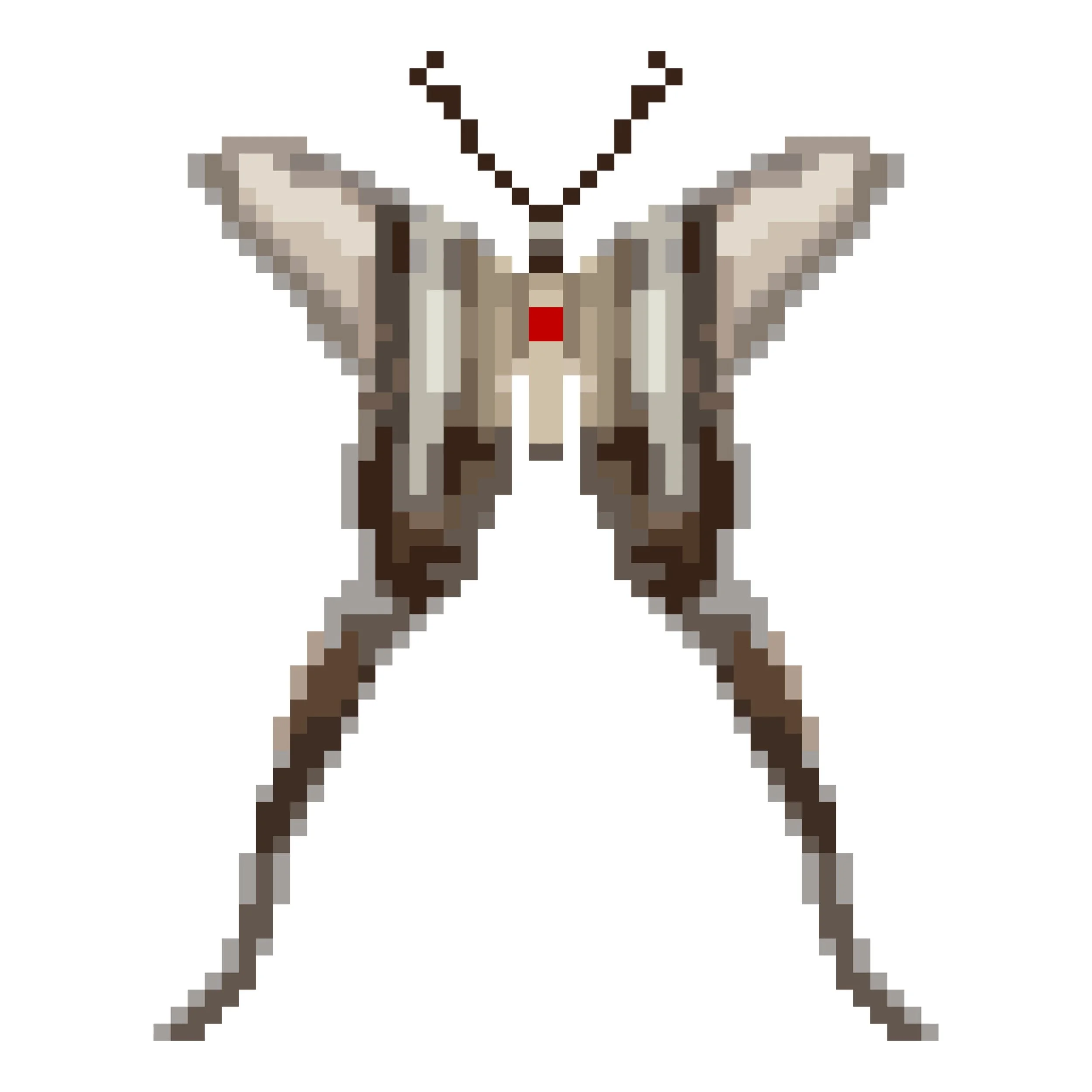 Wingpin#0608-Lamproptera curius.jpg