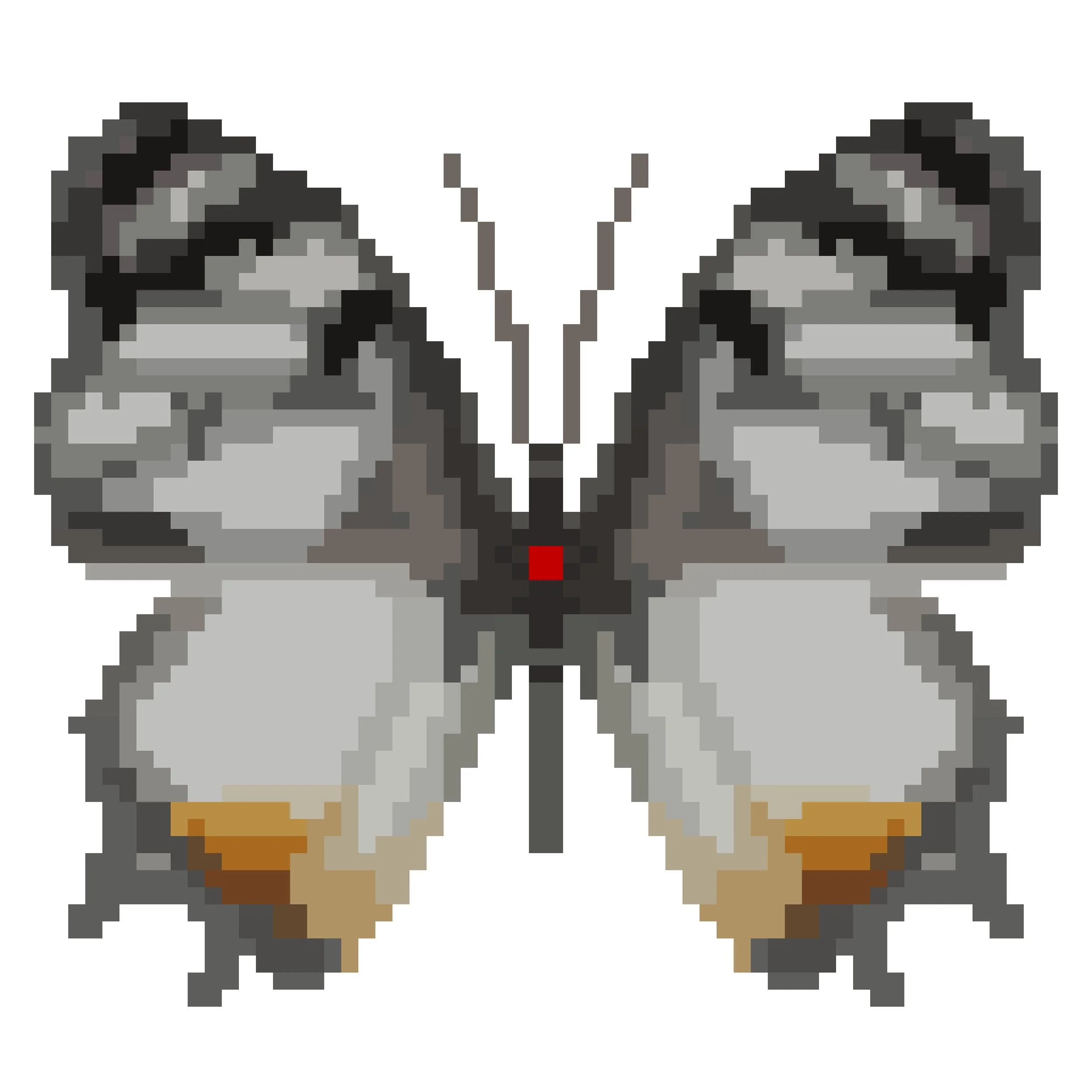Wingpin#0854-Charaxes lydiae.jpg