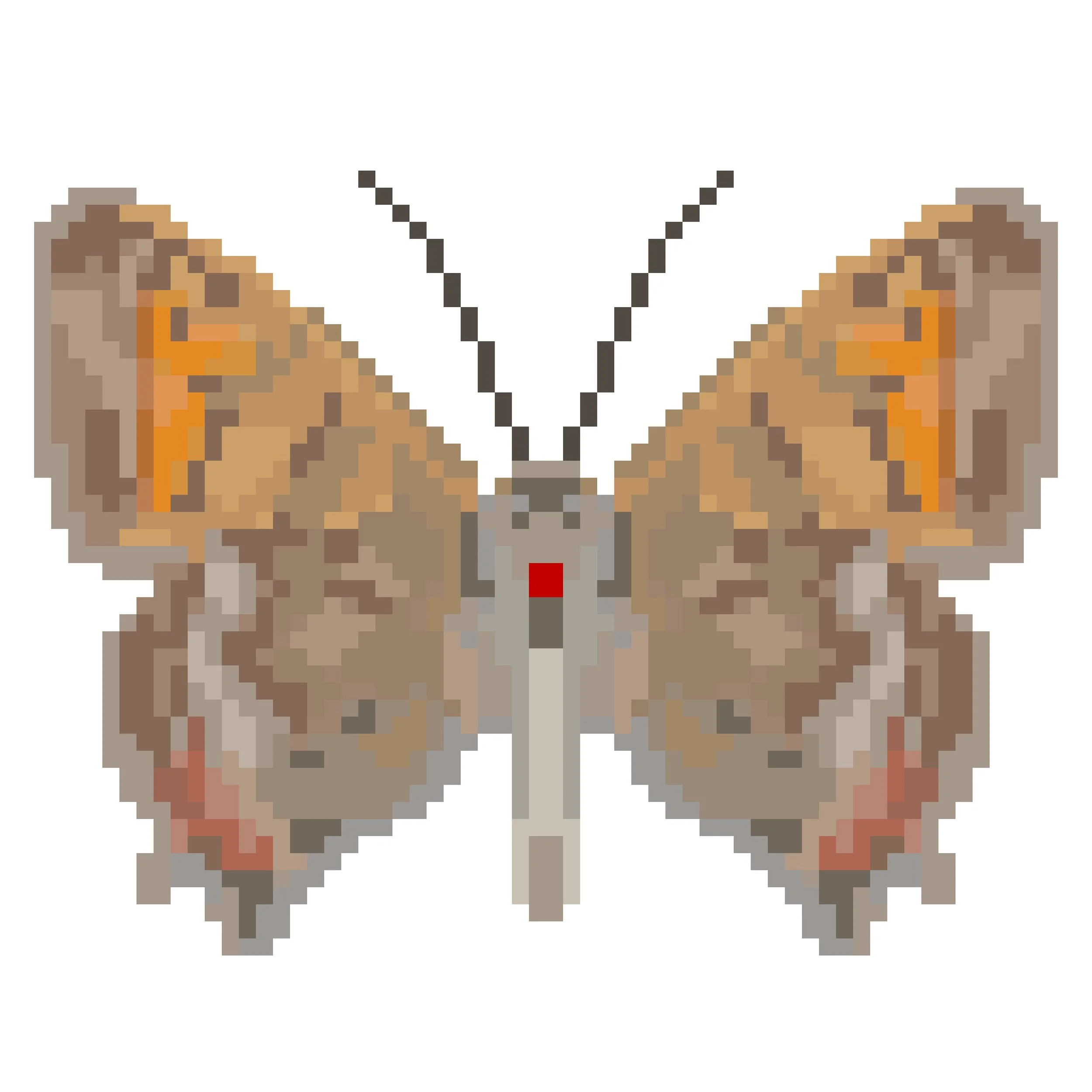 Wingpin#0271-Jalmenus evagoras.jpg