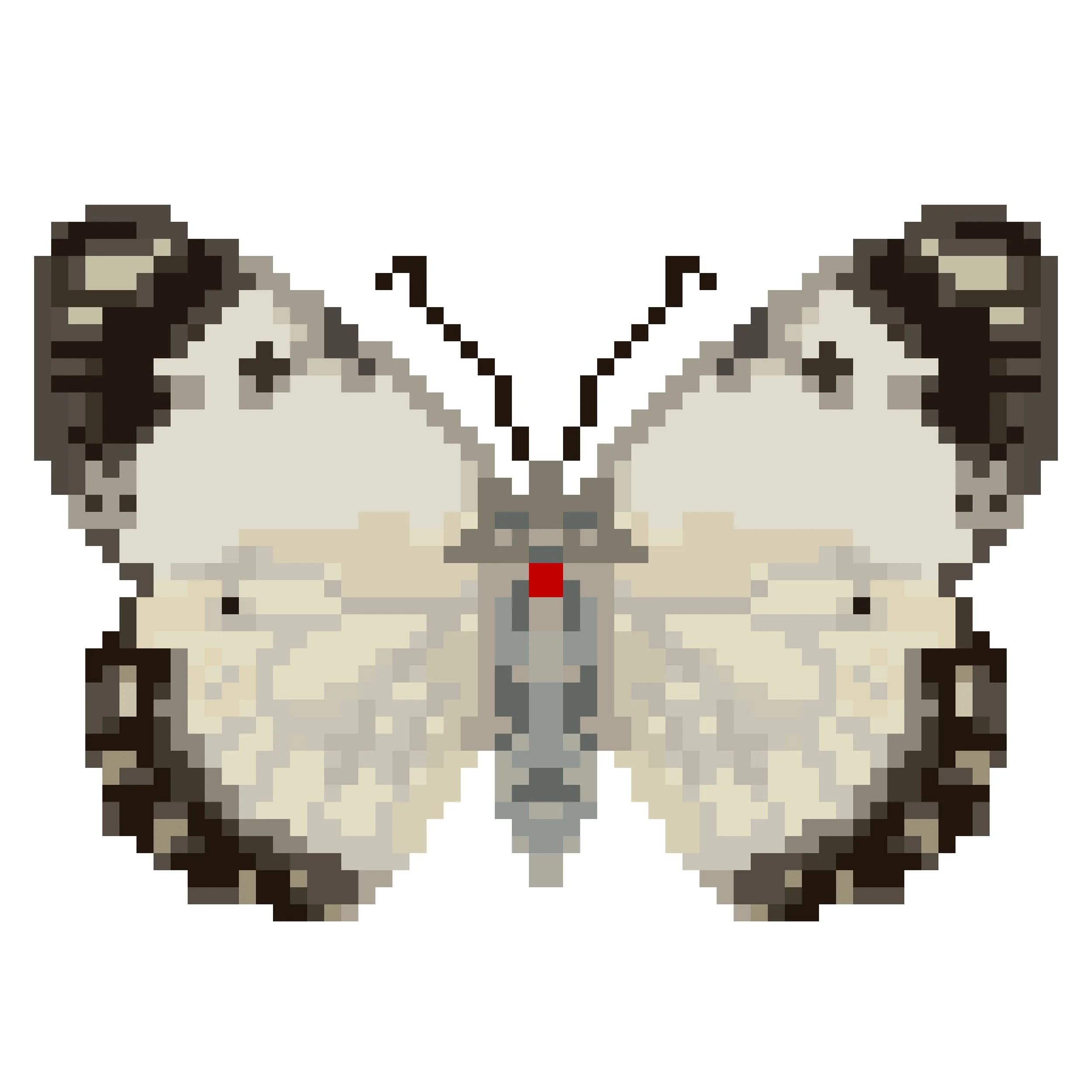 Wingpin#0559-Belenois creona.jpg