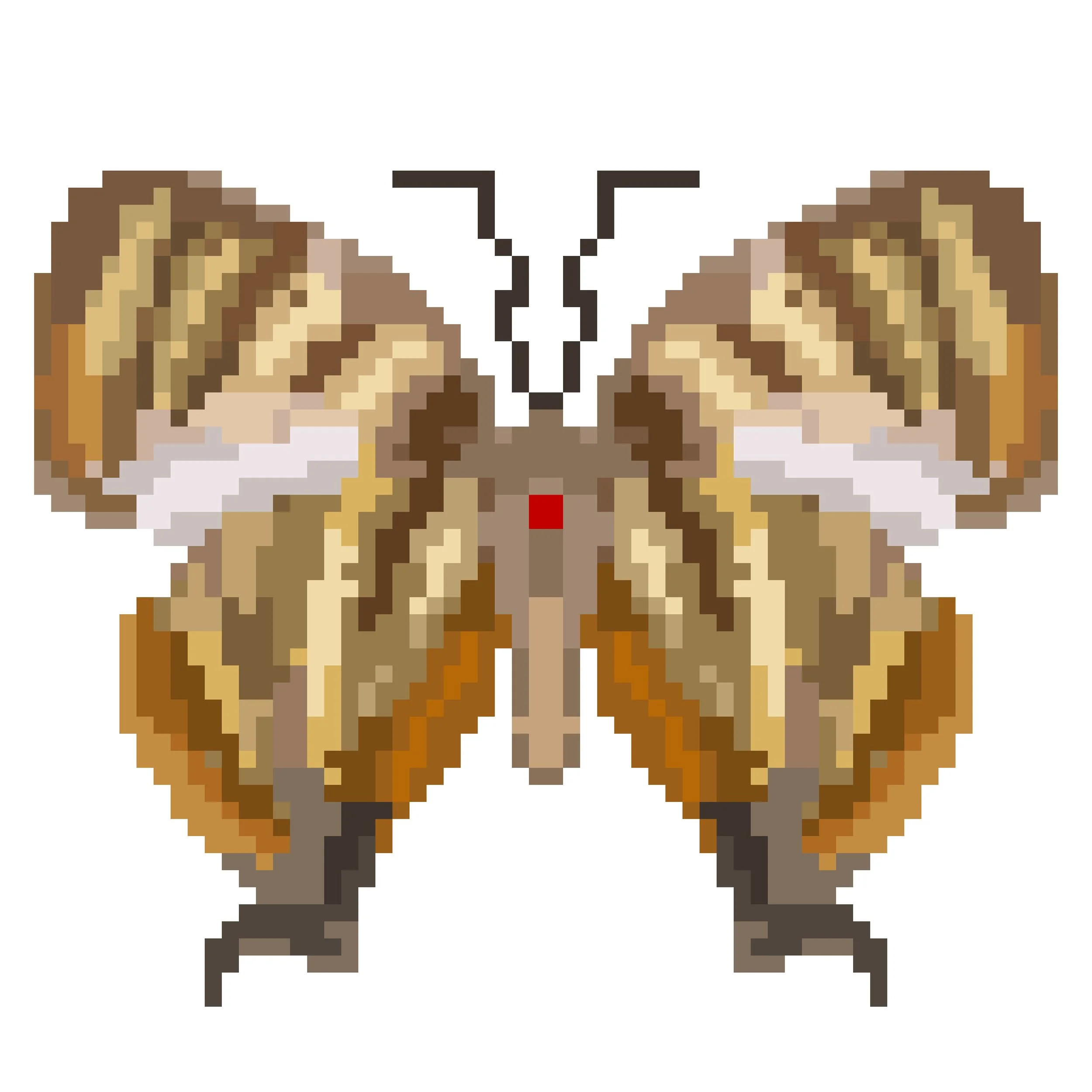 Wingpin#0683-Arawacus sito.jpg