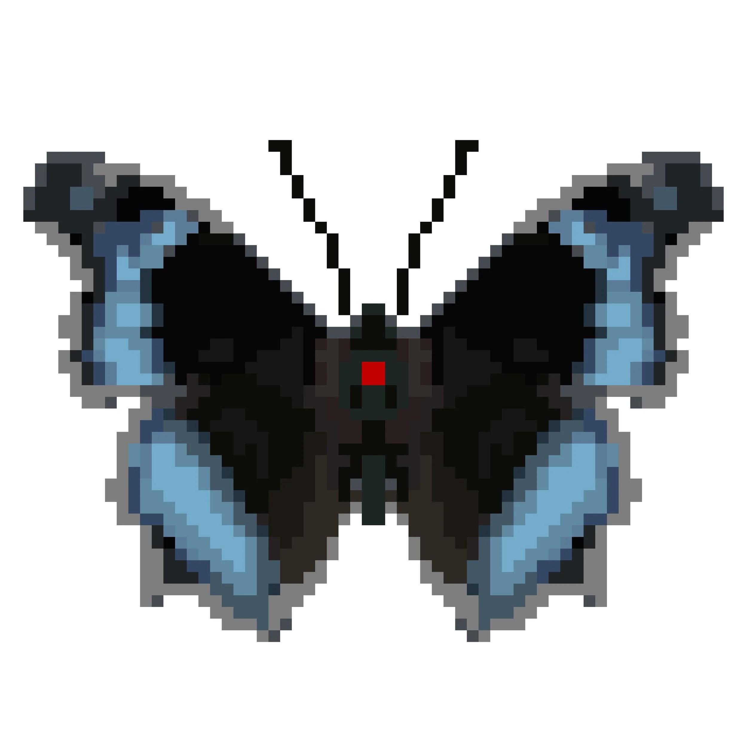 Wingpin#0246-Kaniska canace.jpg