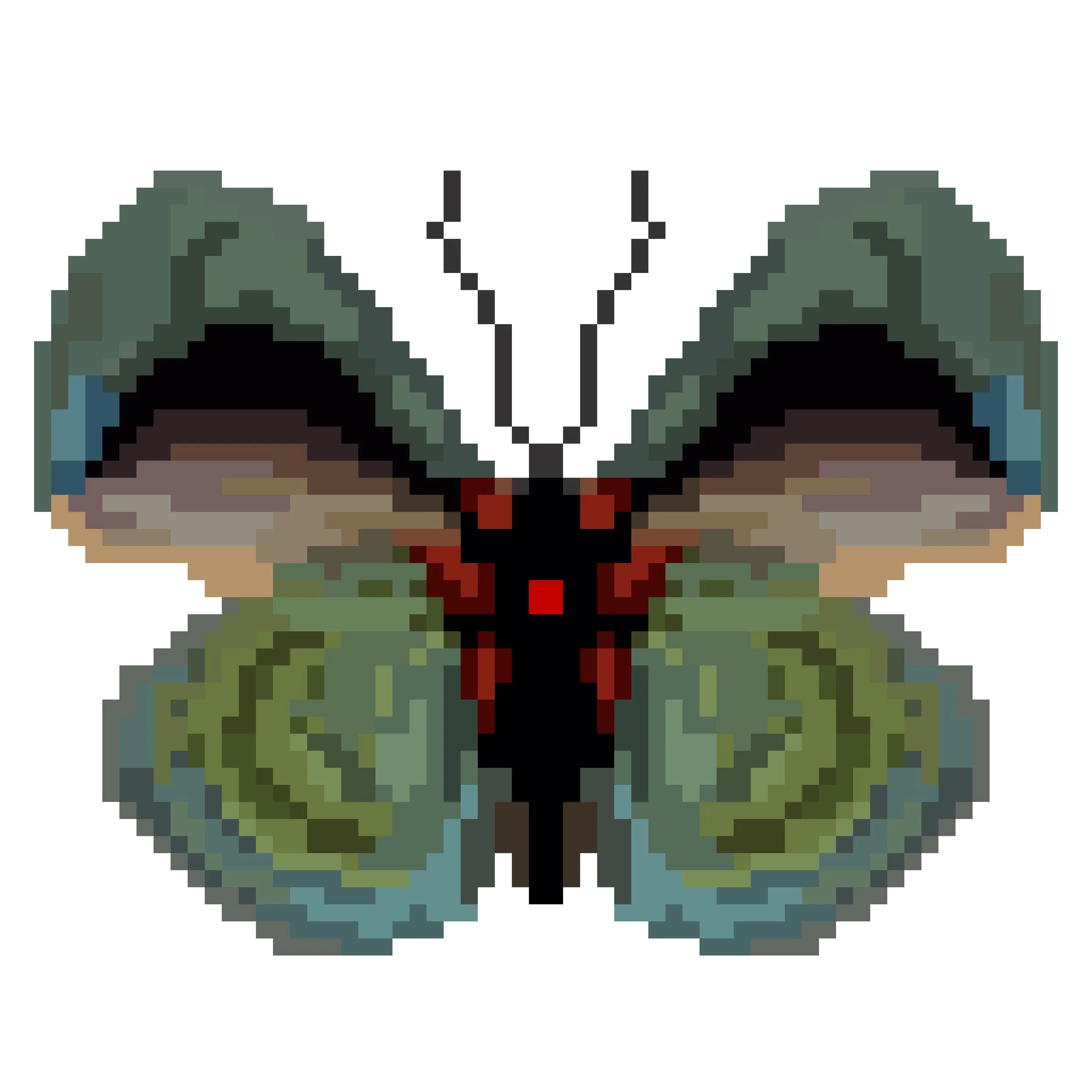 Wingpin#0837-Asterope leprieuri.jpg