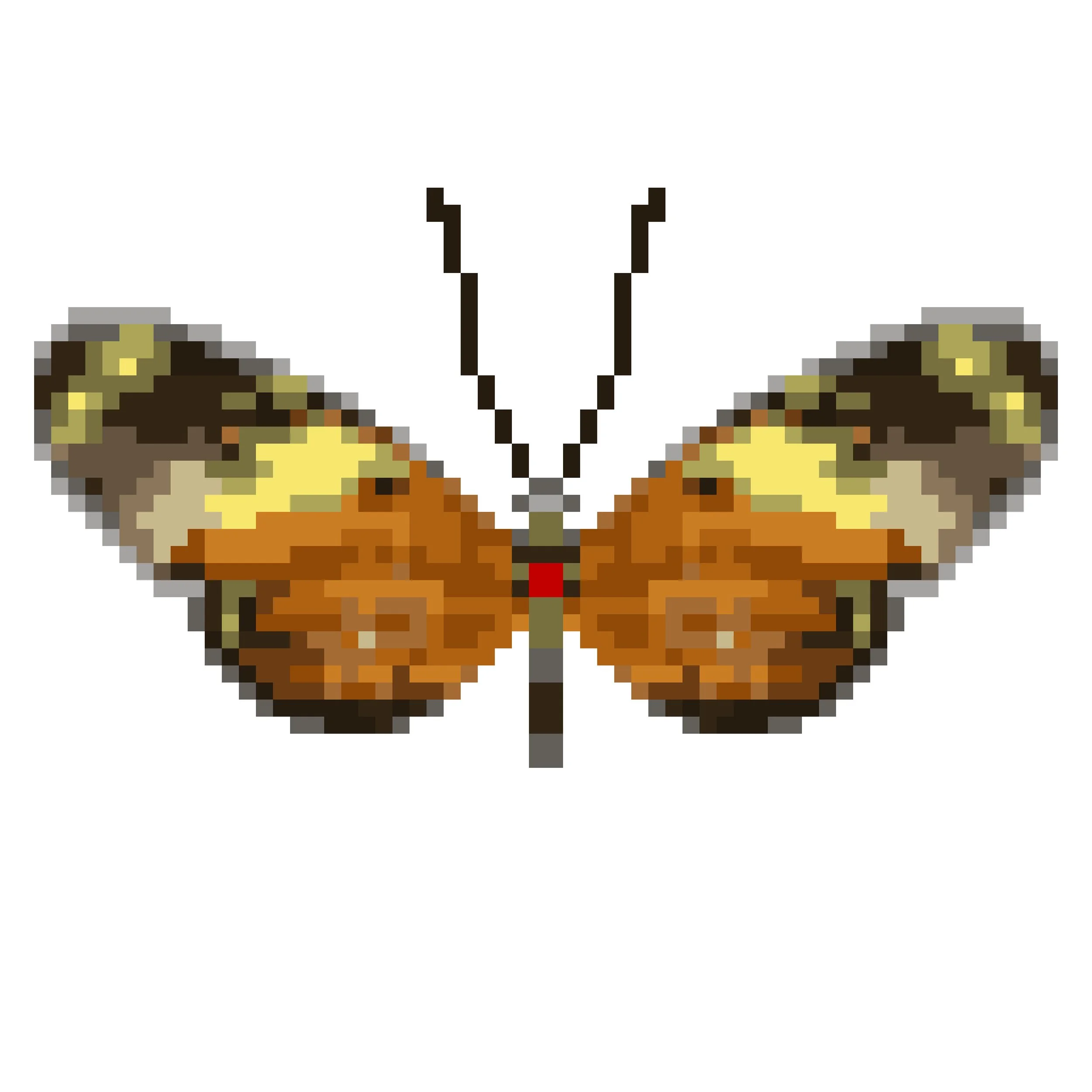 Wingpin#0083-Heliconius ismenius.jpg