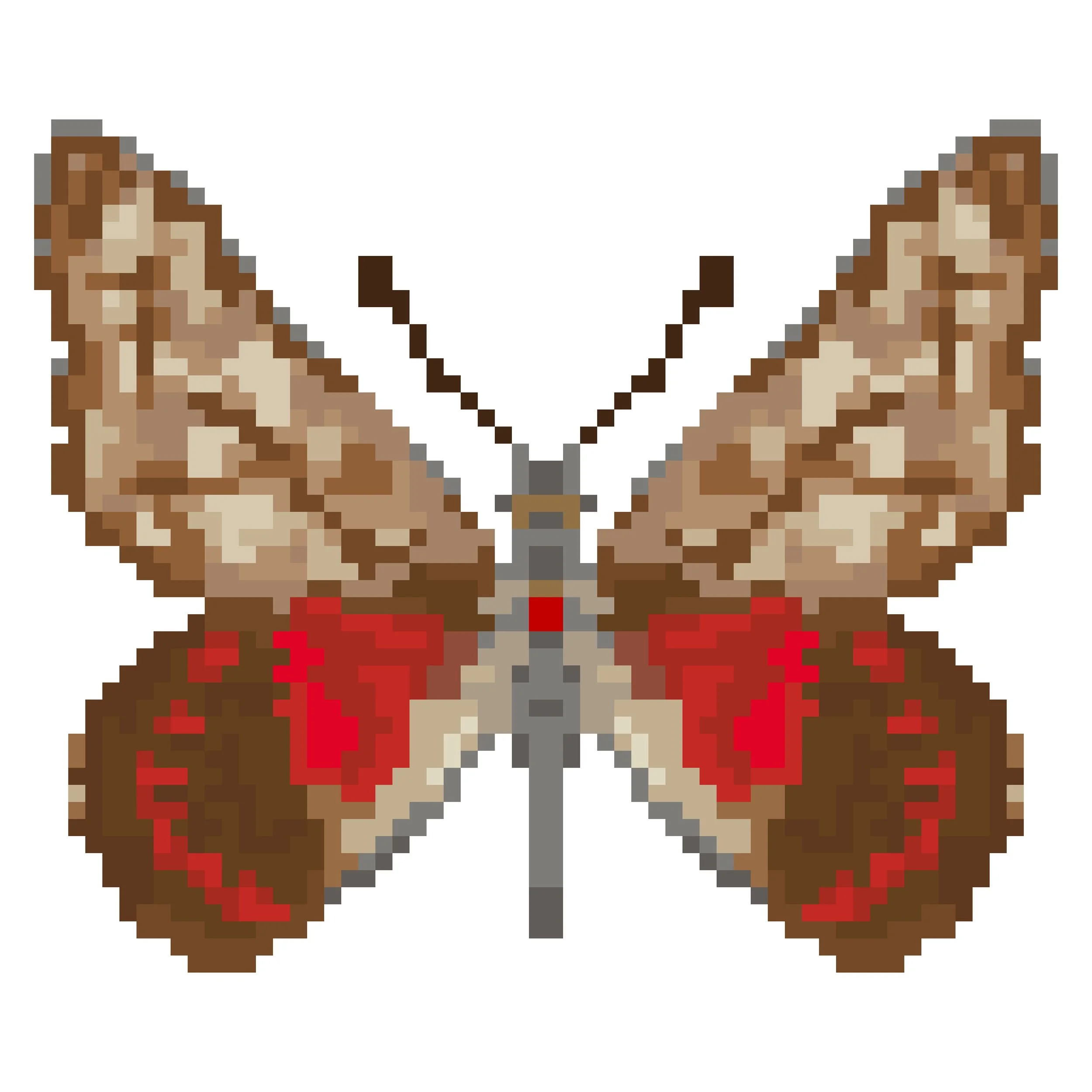 Wingpin#0738-Catasticta uricoecheae.jpg