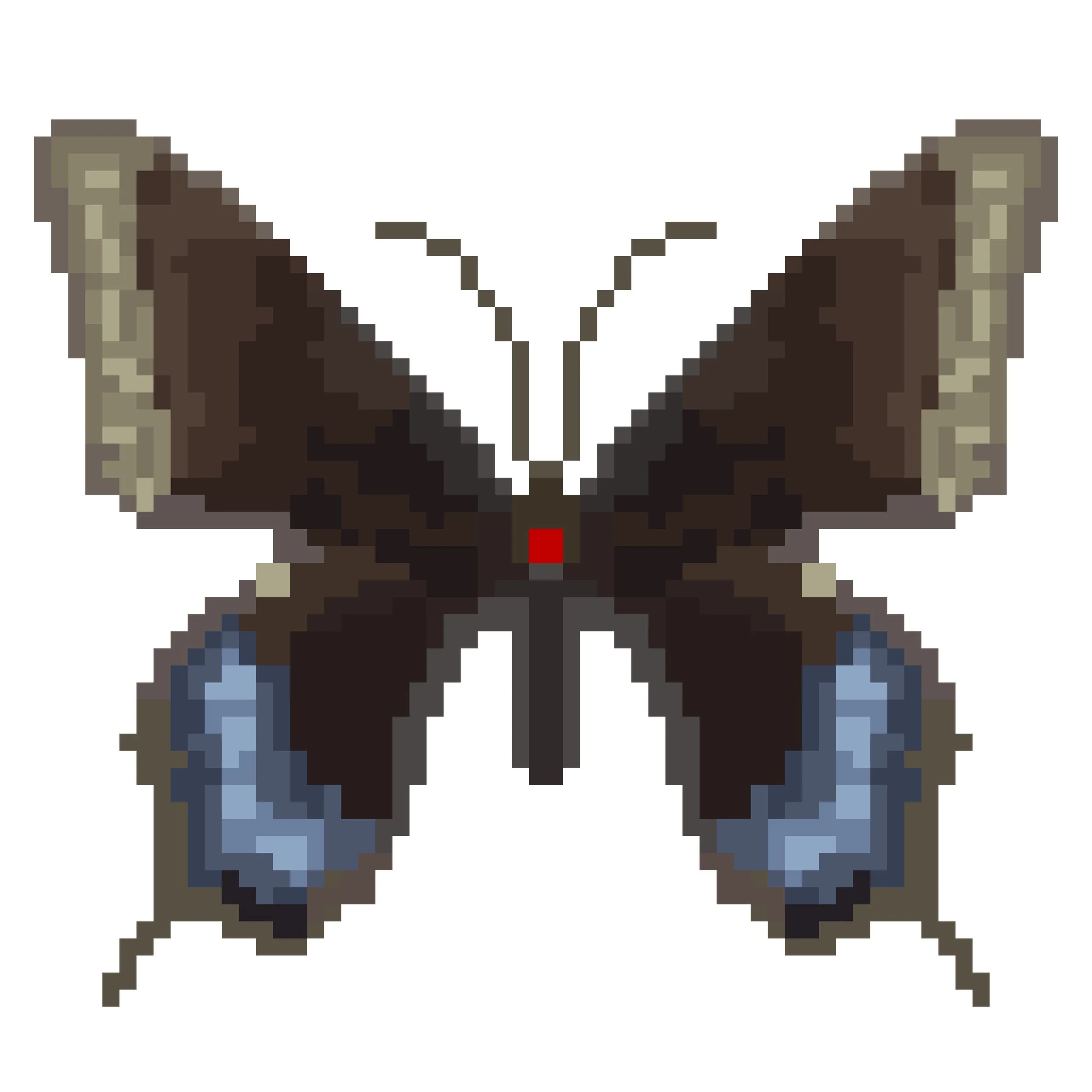 Wingpin#0836-Papilio indra.jpg