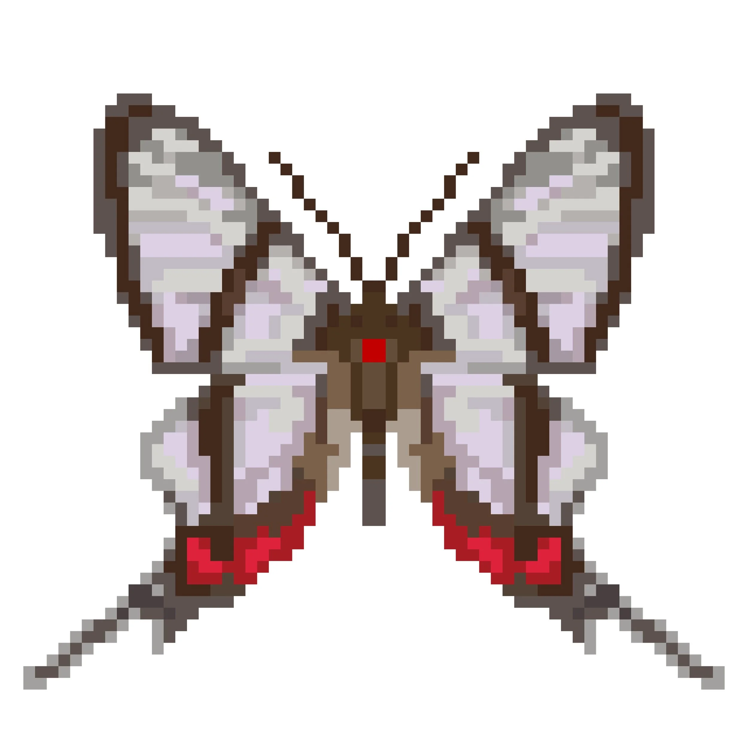 Wingpin#0751-Chorinea sylphina.jpg
