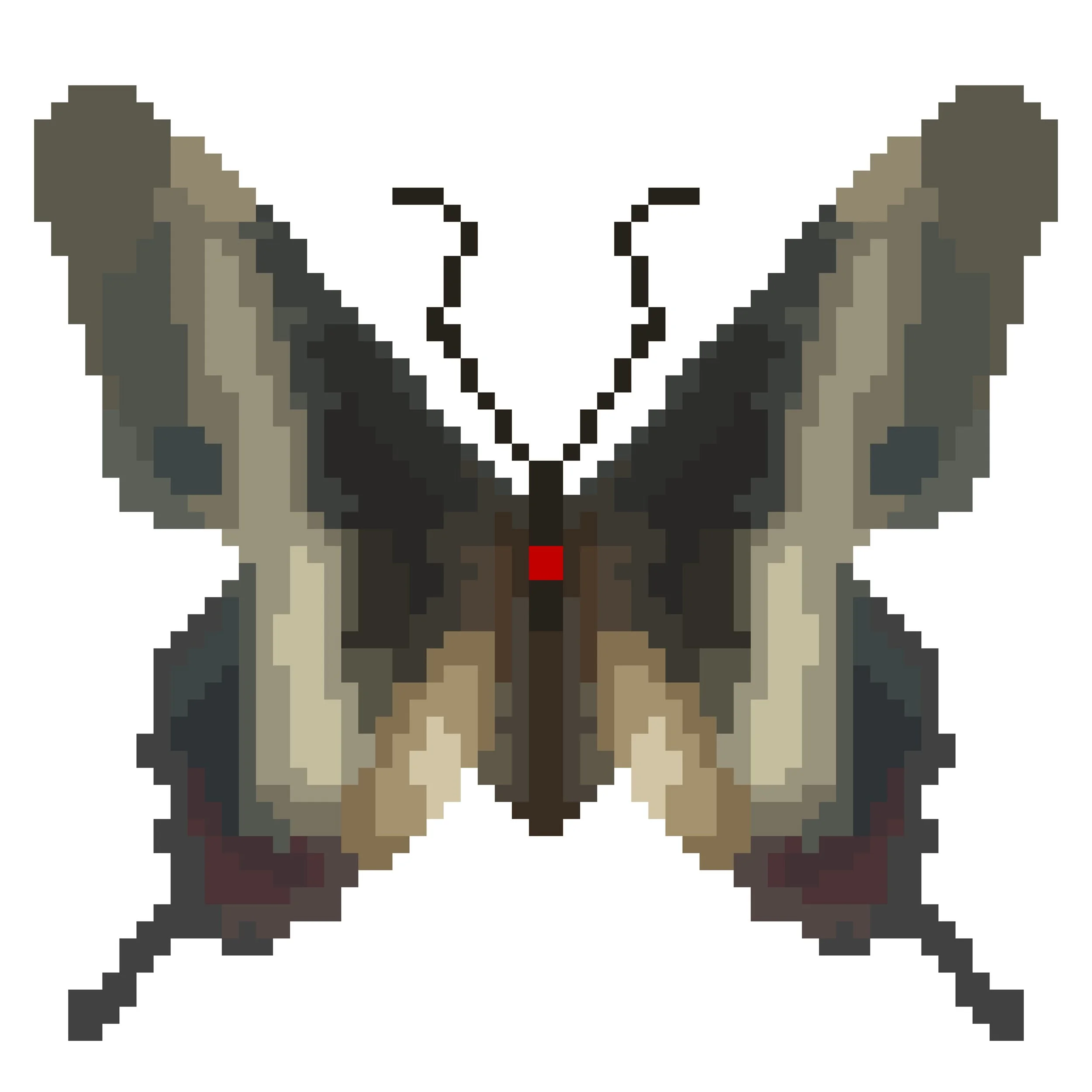 Wingpin#0804-Parides phalaecus.jpg