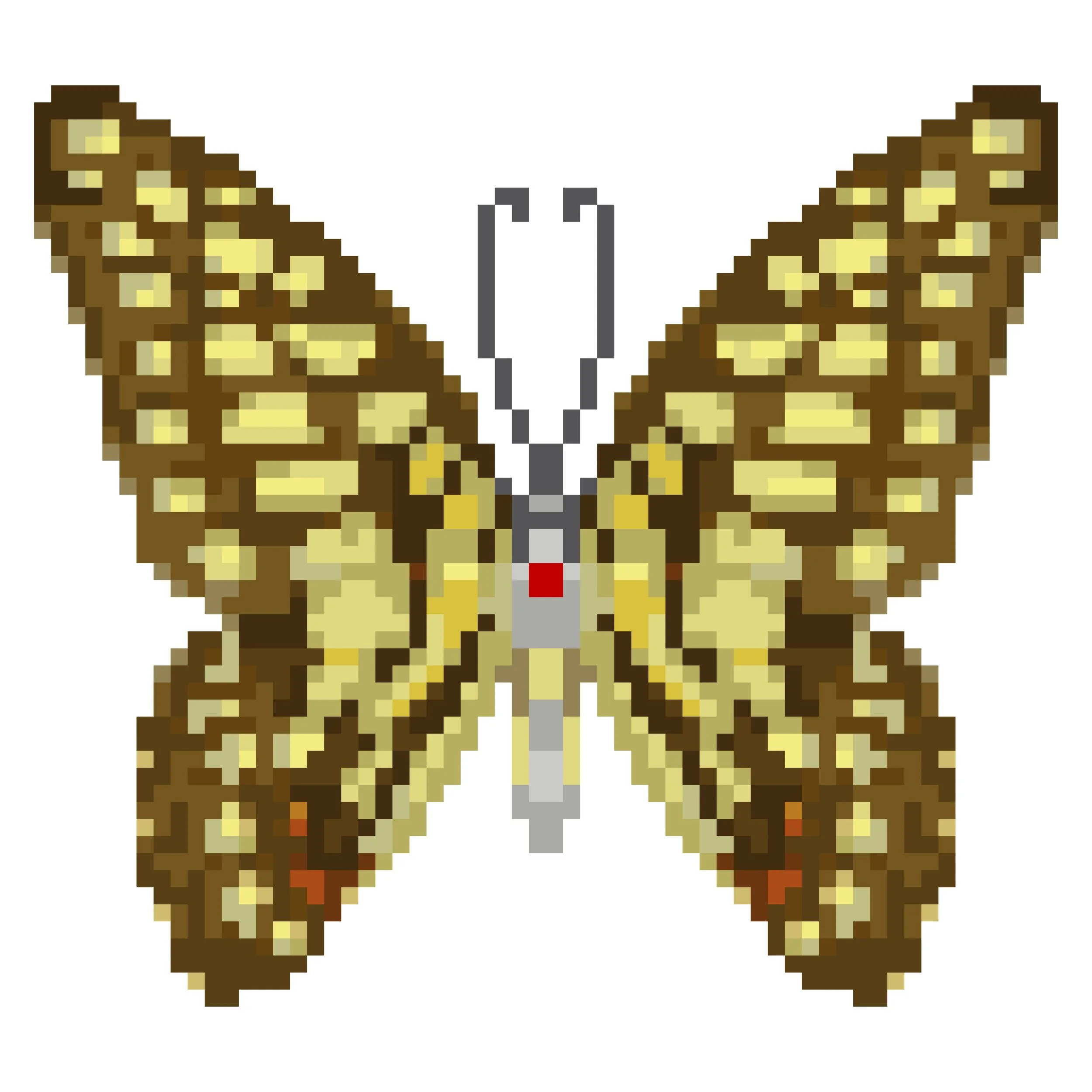 Wingpin#0427-Graphium arycles.jpg