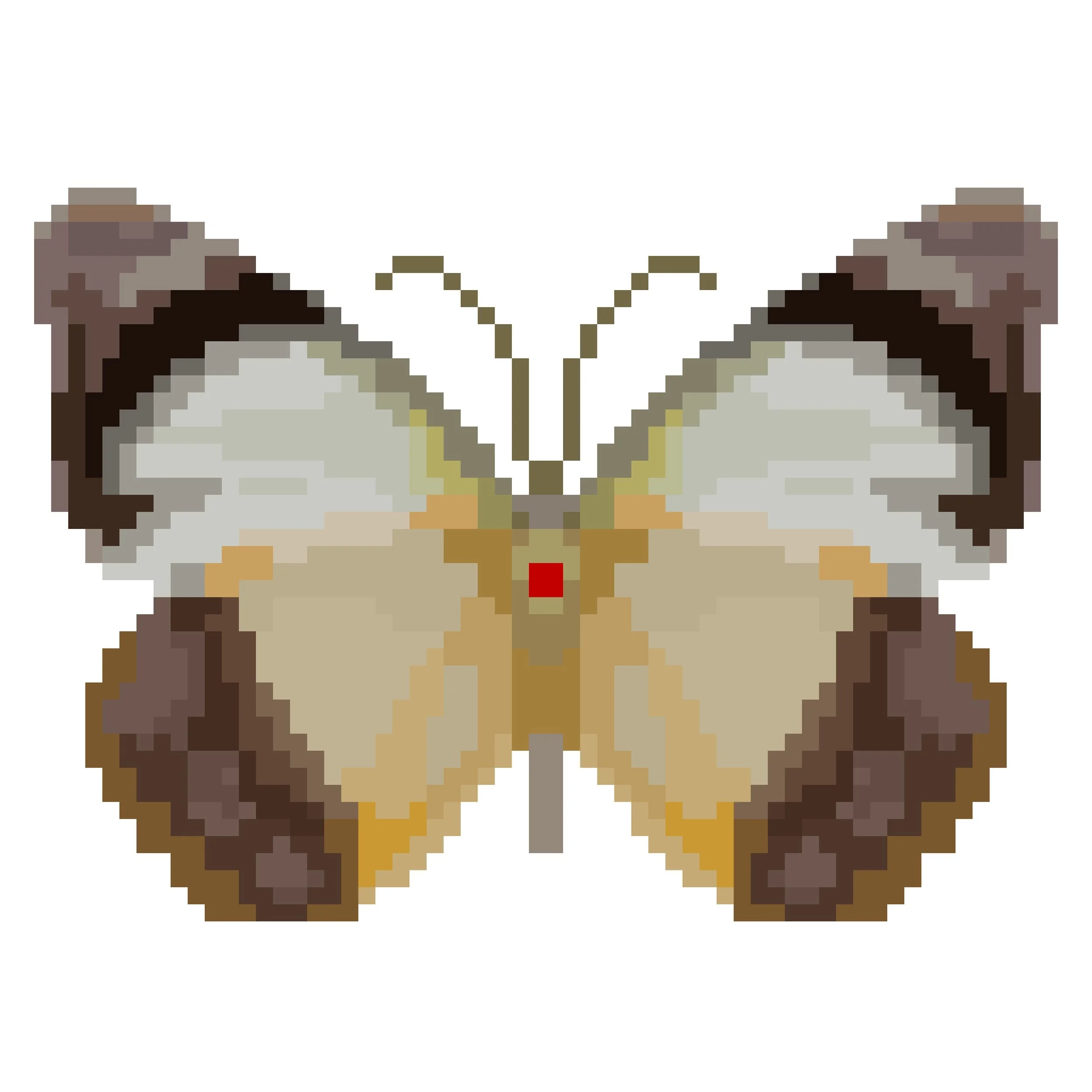 Wingpin#0867-Appias paulina.jpg