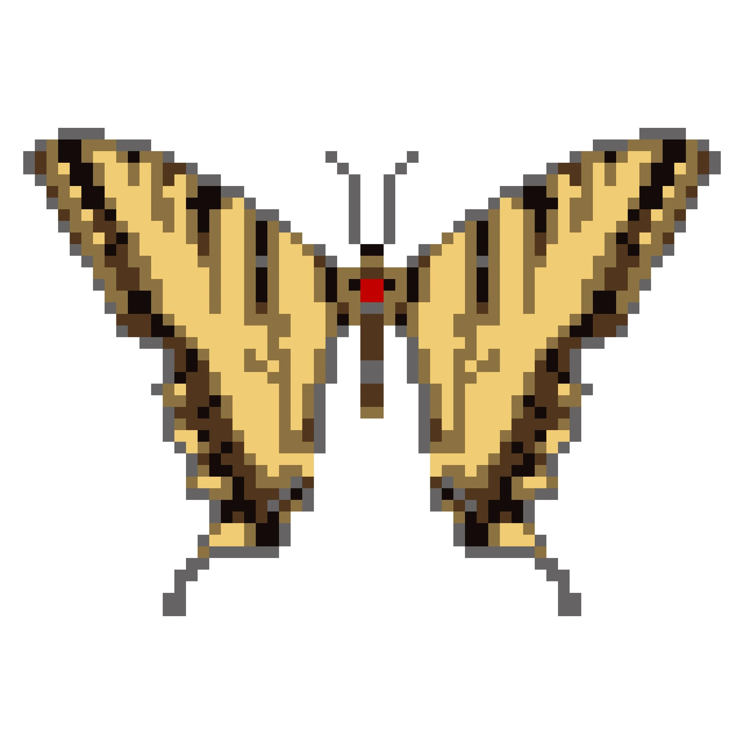 Wingpin#0012-Papilio rutulus.jpg